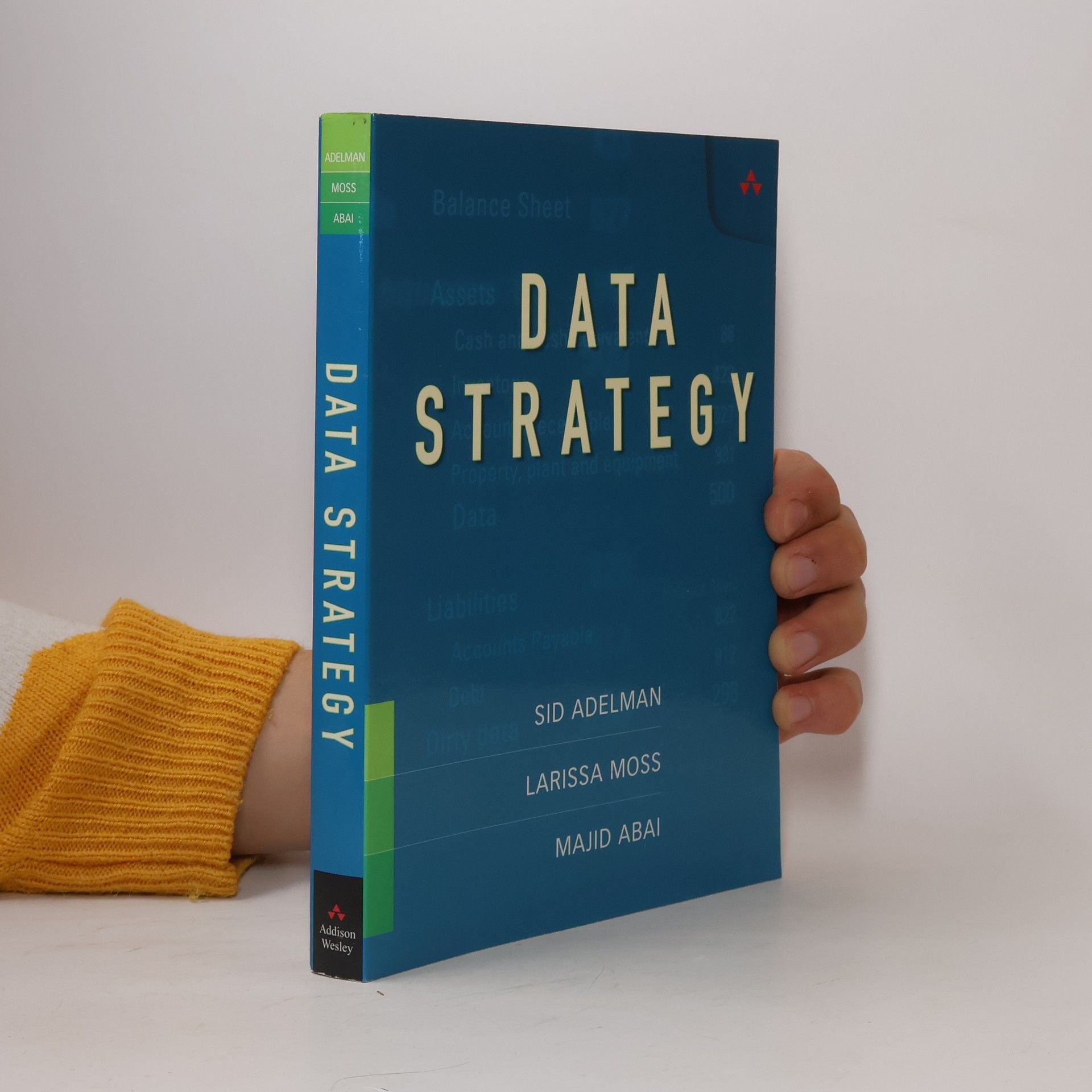 Majid Abai Data Strategy