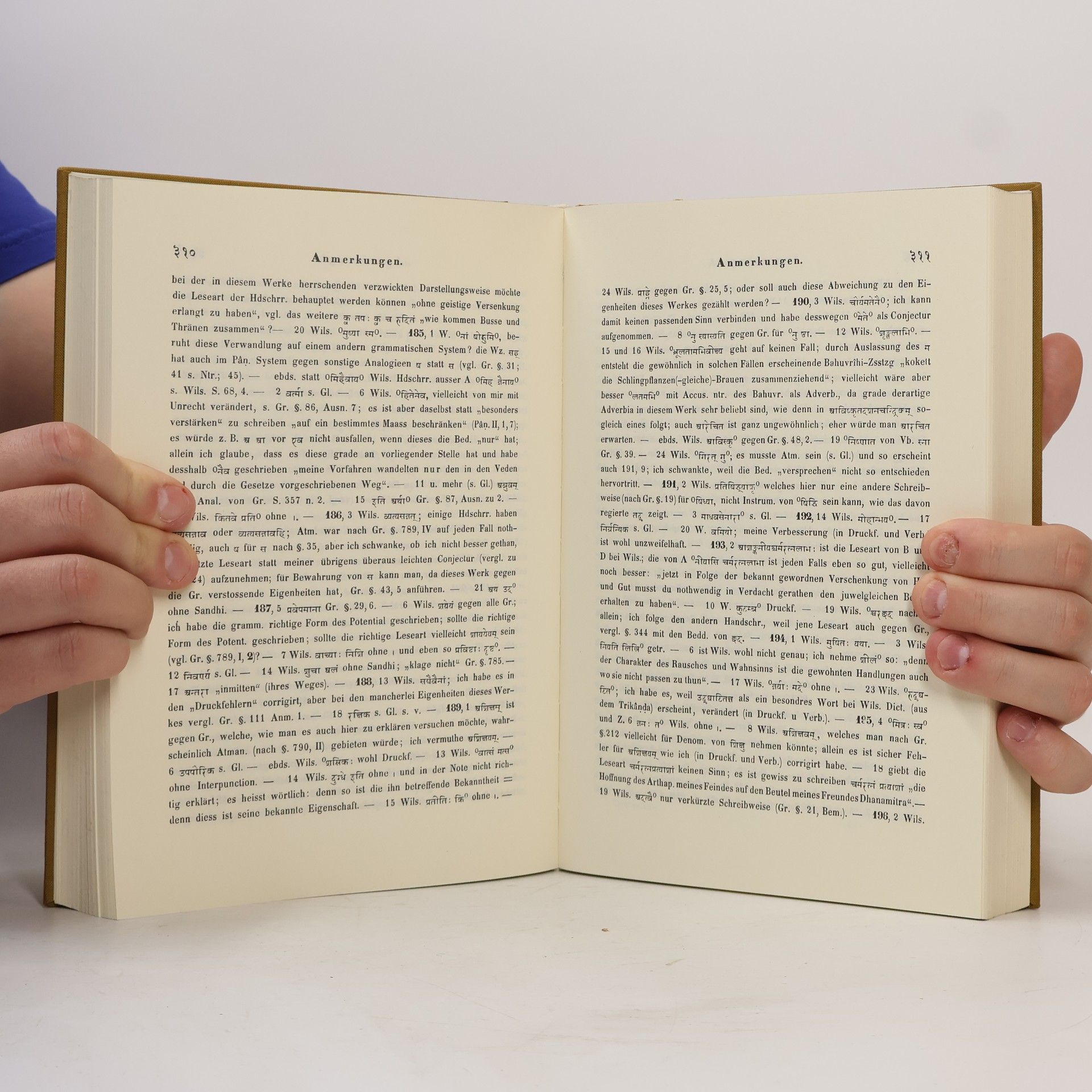 Theodor Benfey Handbuch der Sanskrit Sprache II