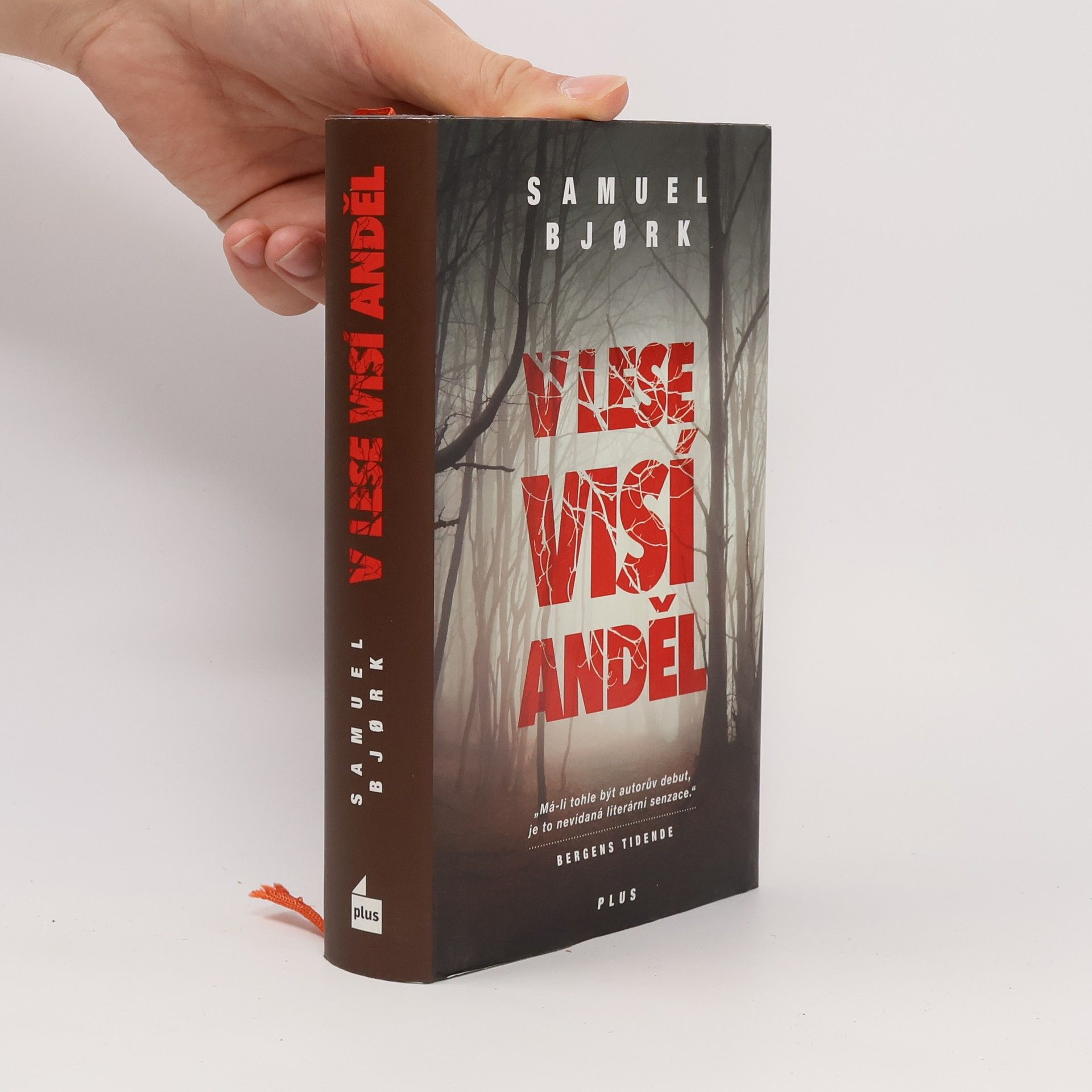 Samuel Bjork V lese visí anděl