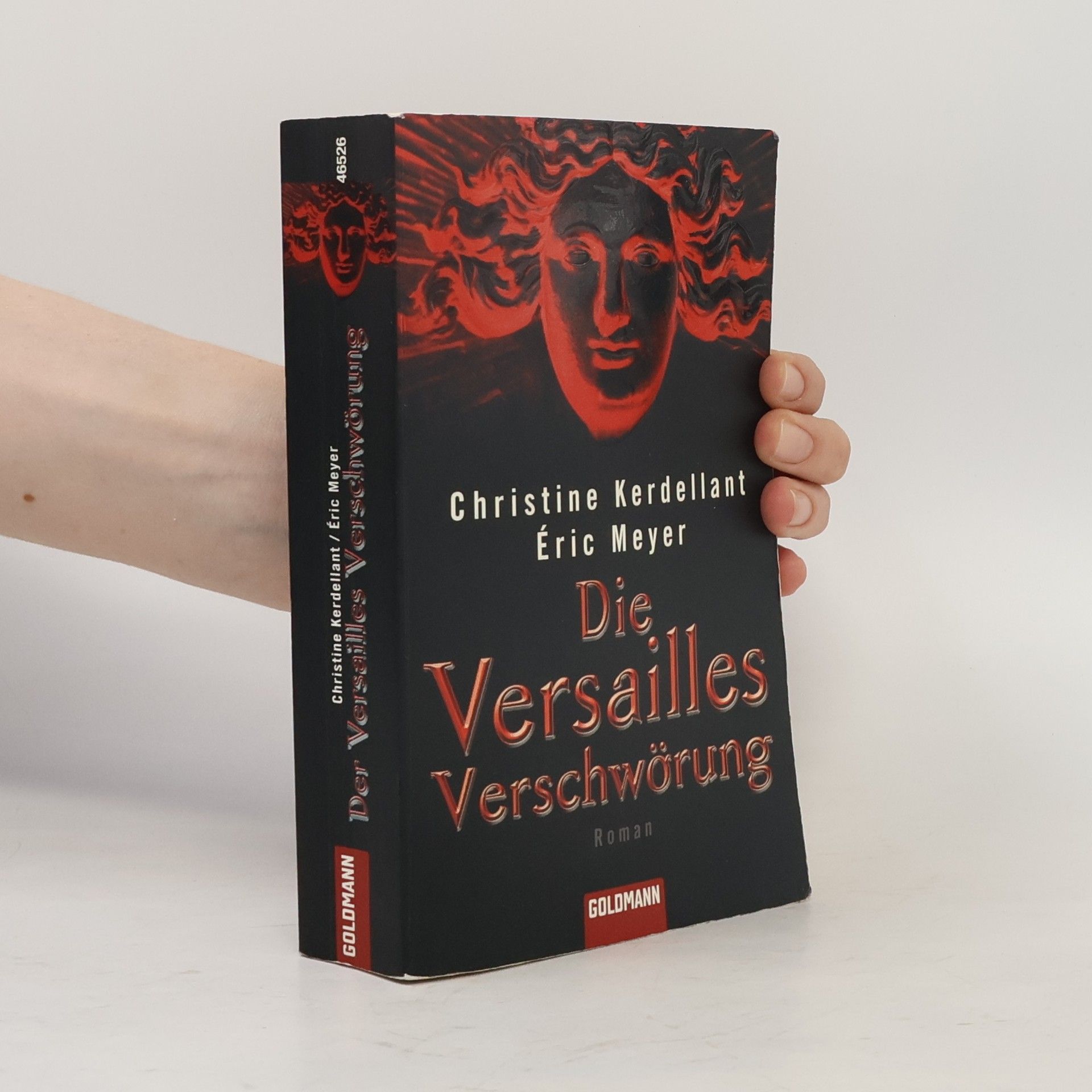 Christine Kerdellant Die Versailles-Verschwörung