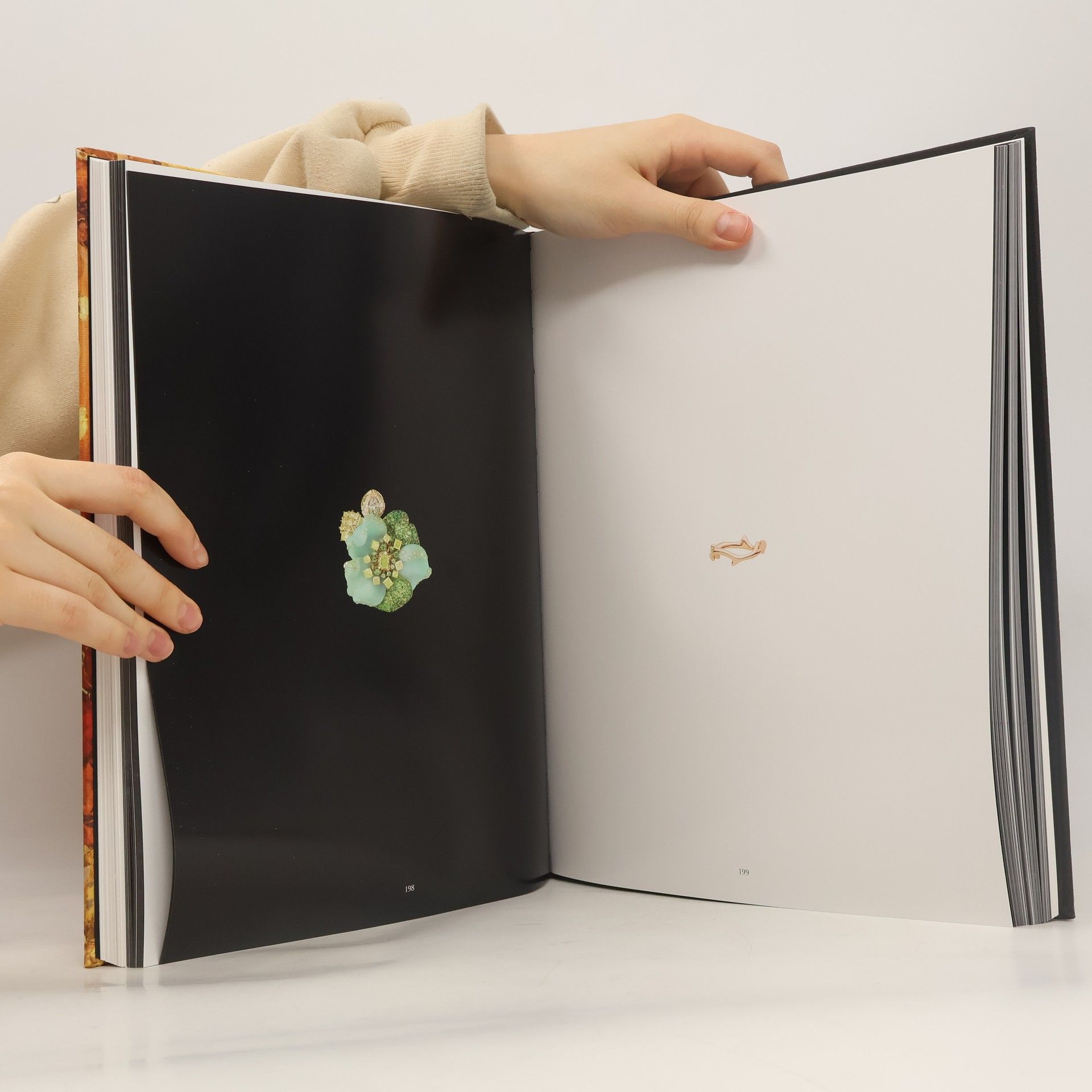 Olivier Gabet Dior Joaillerie