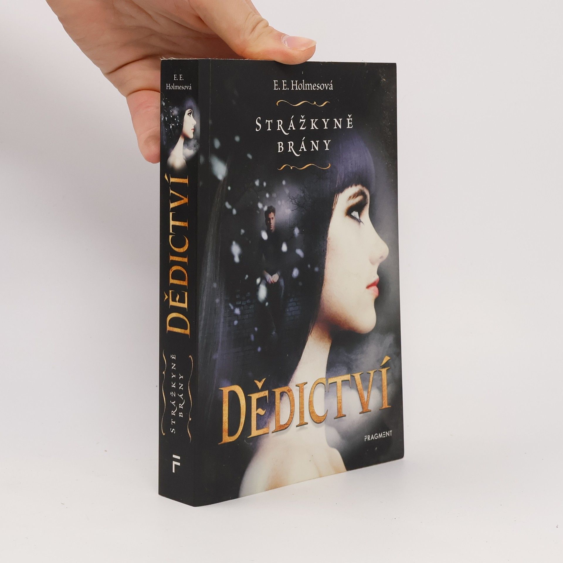 E. E. Holmes Strážkyně brány – Dědictví