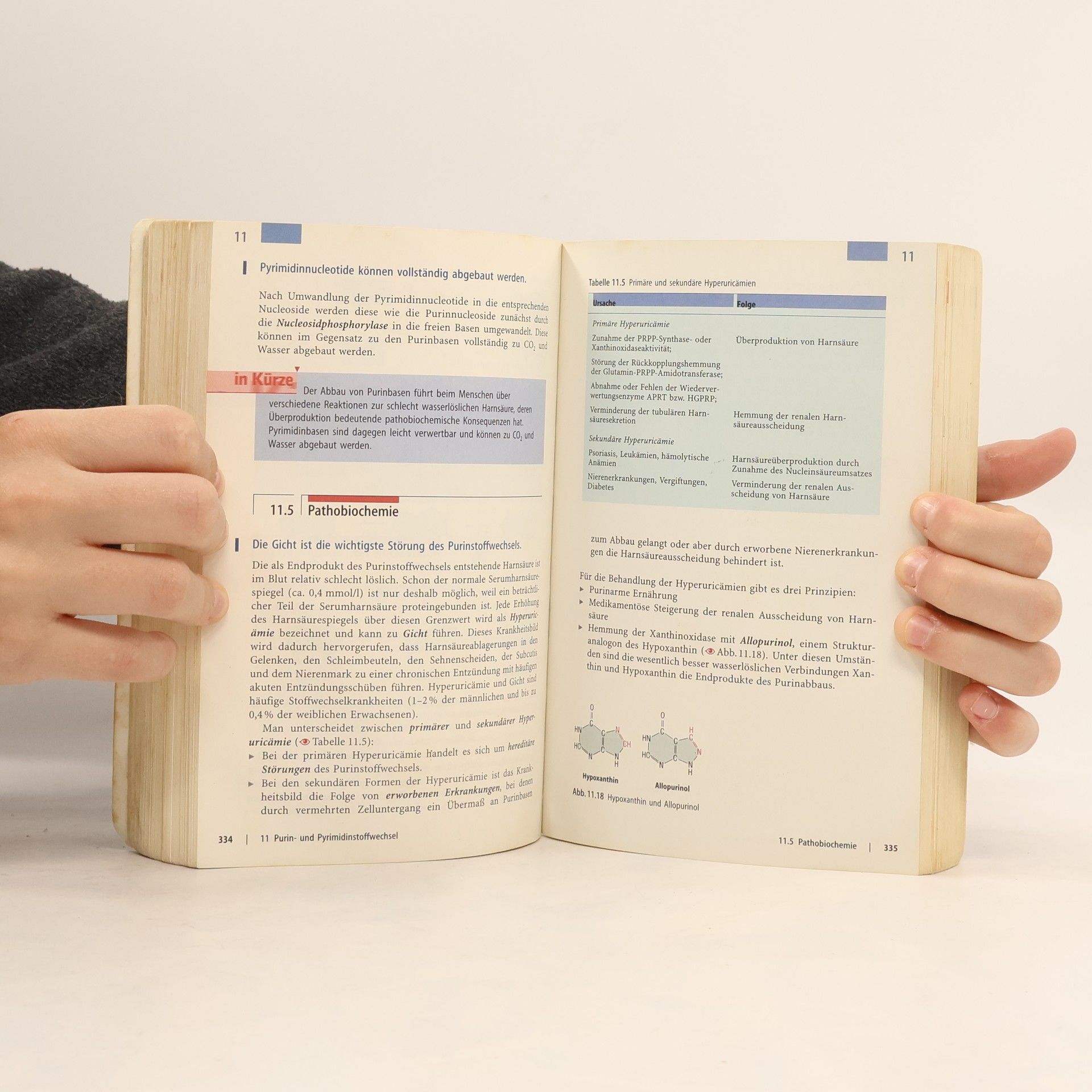 Georg Löffler Basiswissen Biochemie