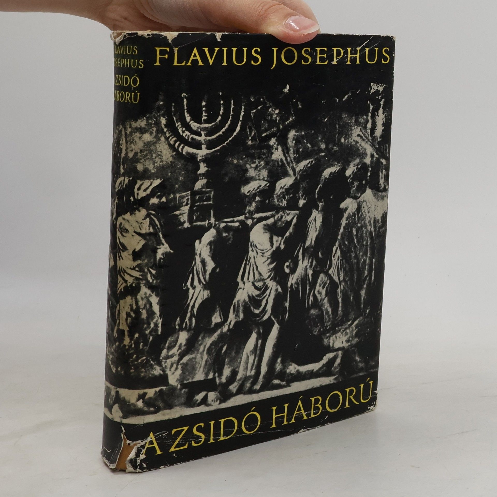 Josephus A zsidó háború