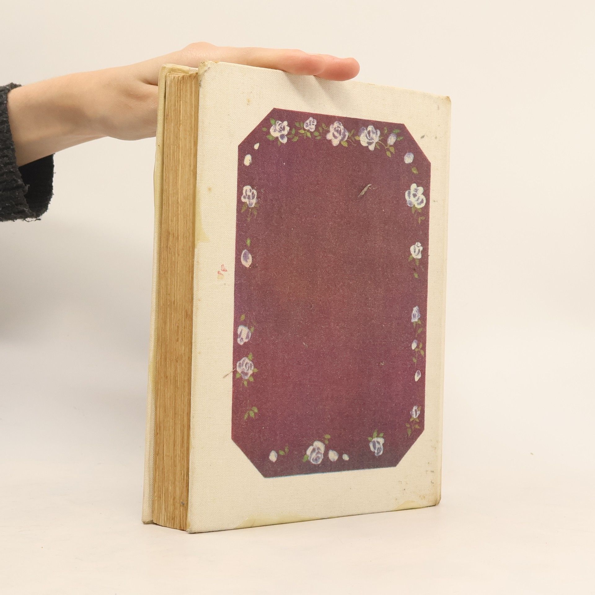 Regina Hänsel Die Nachtigall und die Rose ein Märchenbuch für Verliebte