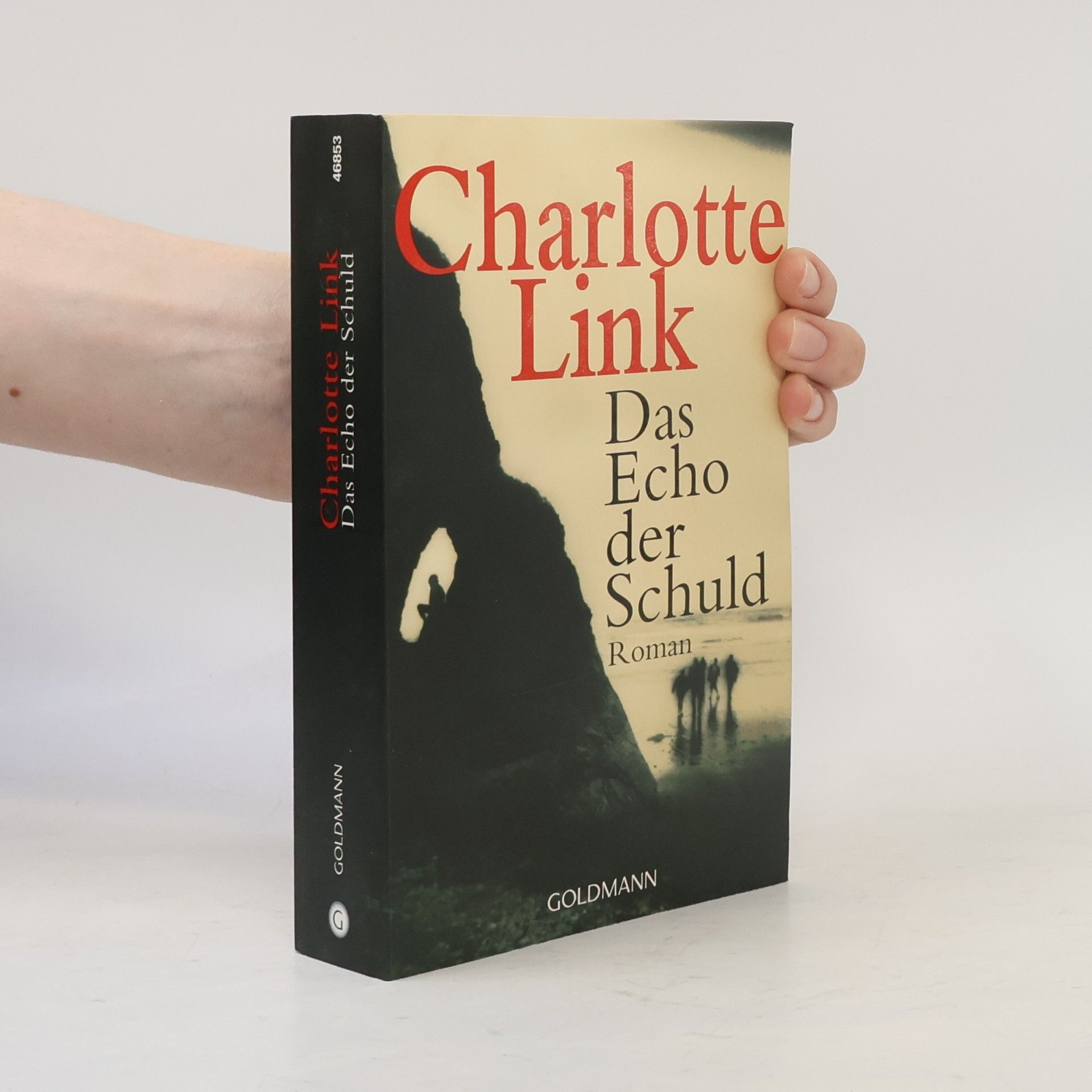 Charlotte Link Das Echo der Schuld