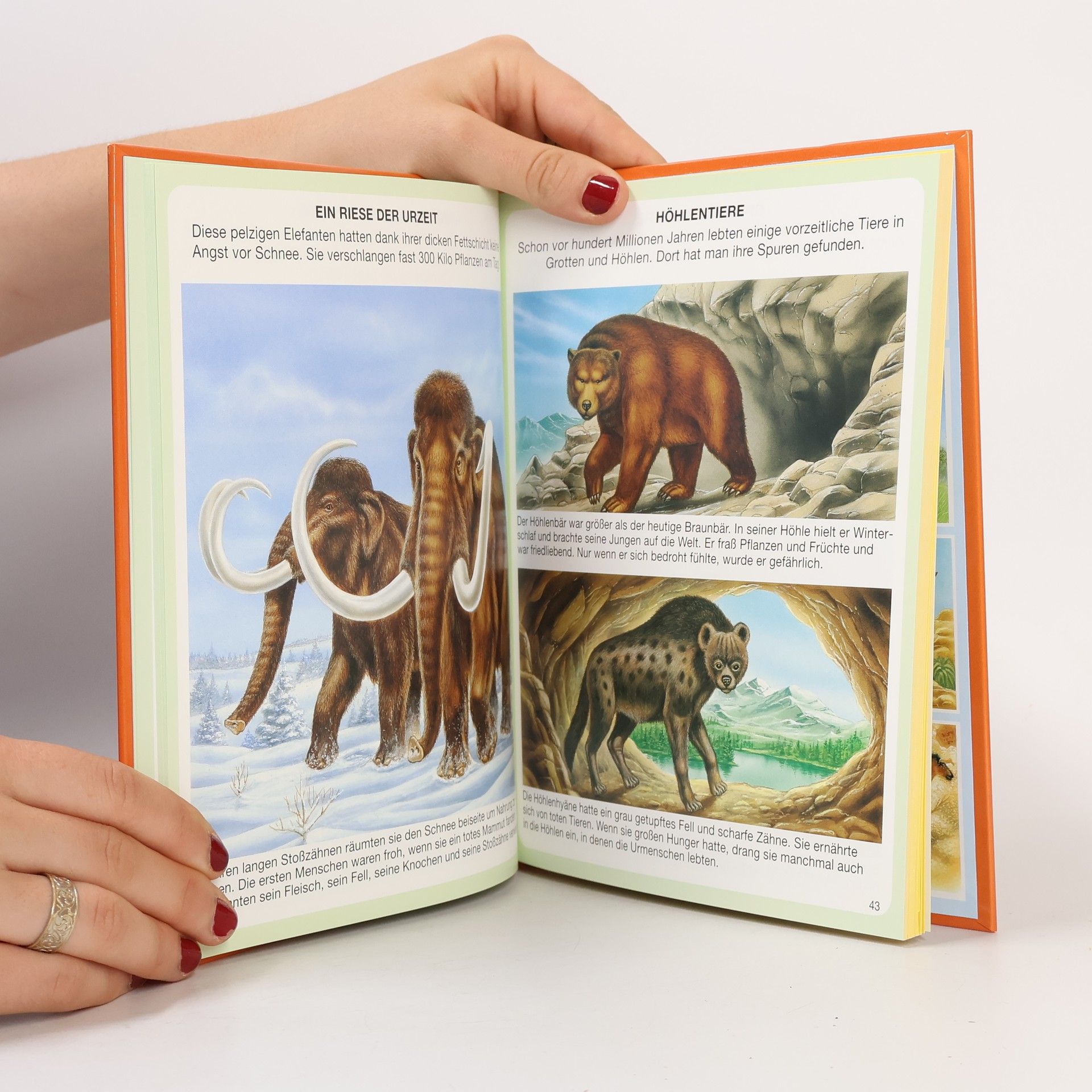 Various authors Dien buntes Wörterchuch Jubiläumsaugabe (3 bände+box)