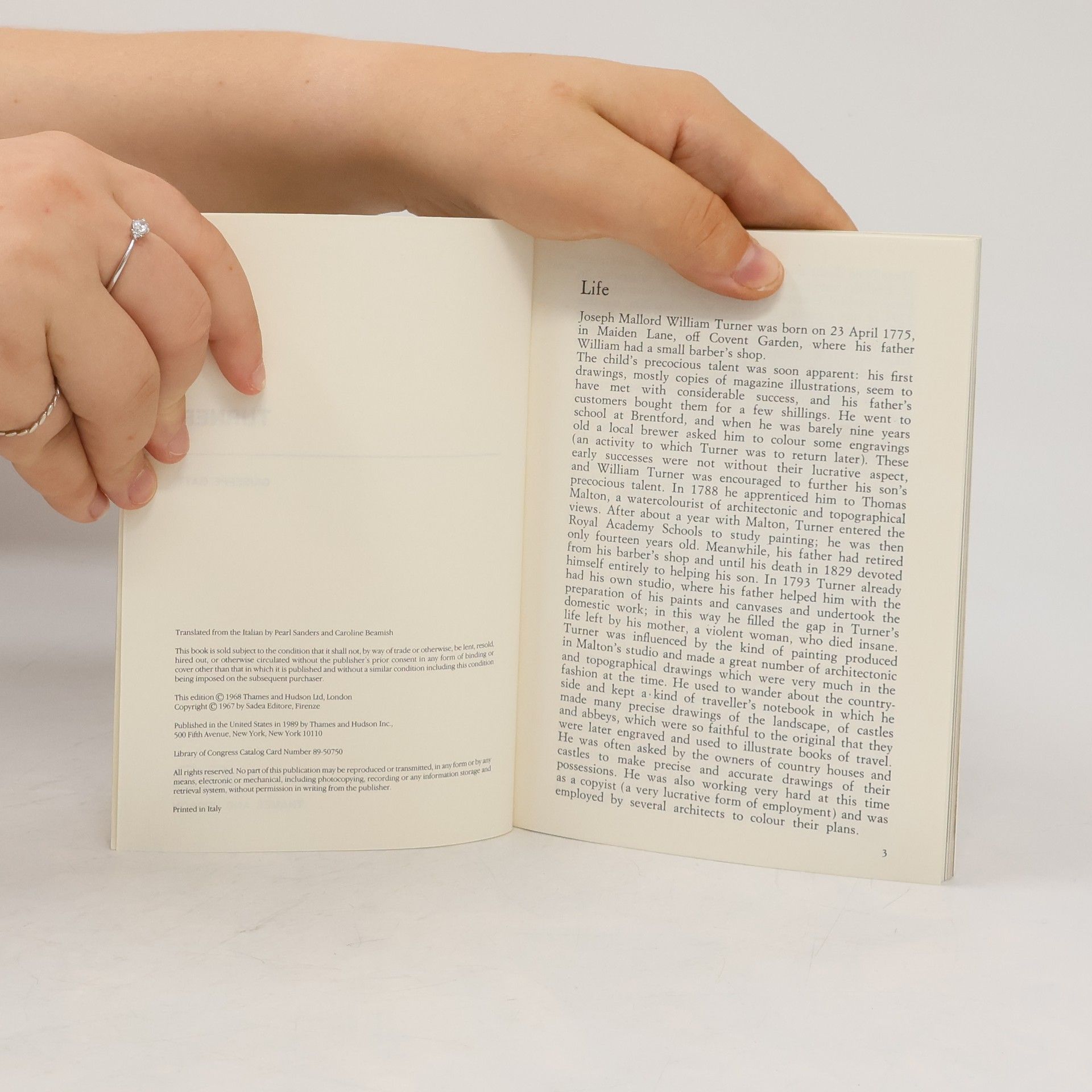 Giuseppe Gatt A Dolphin Art Book: Turner
