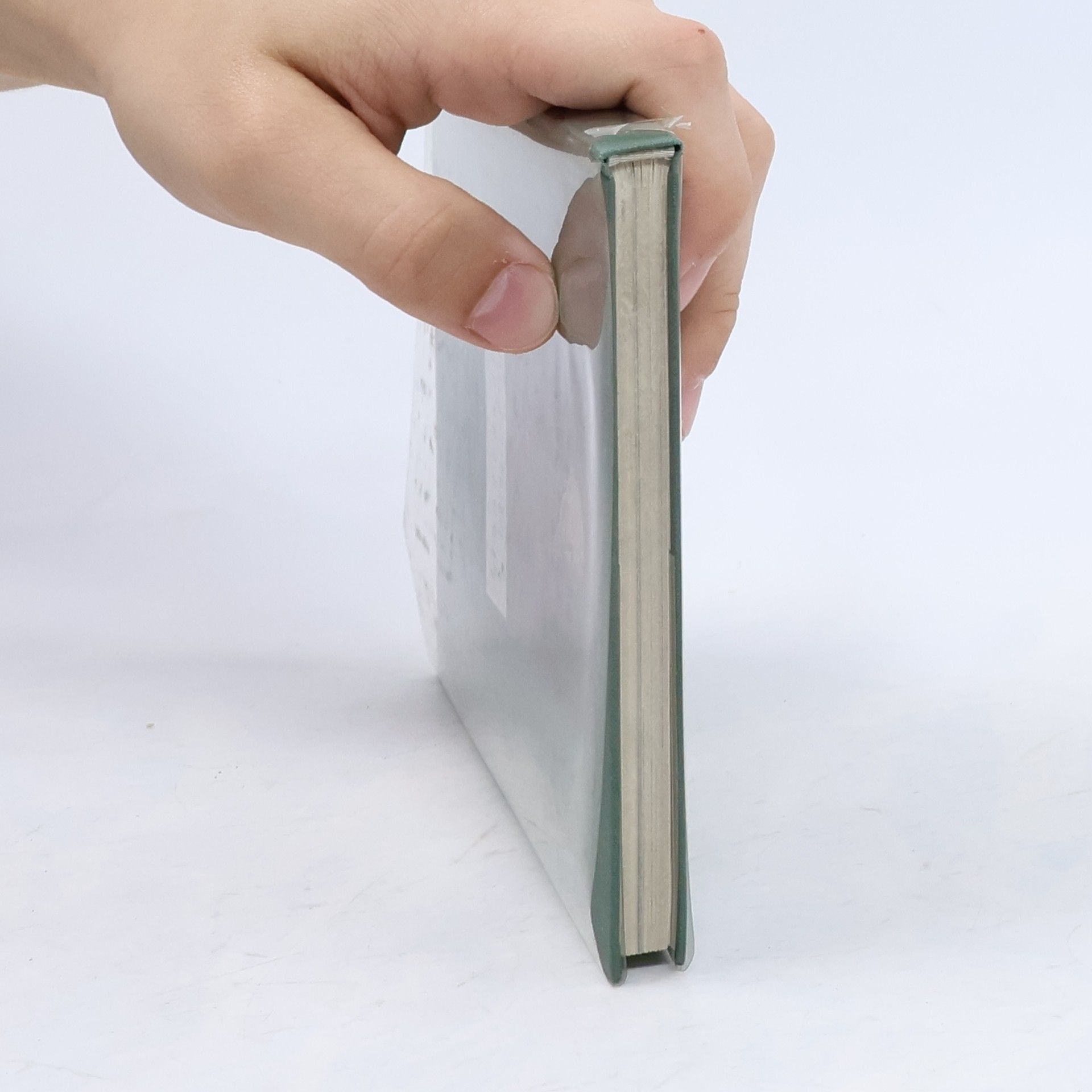 Géza Rech Das Salzburger Mozartbuch