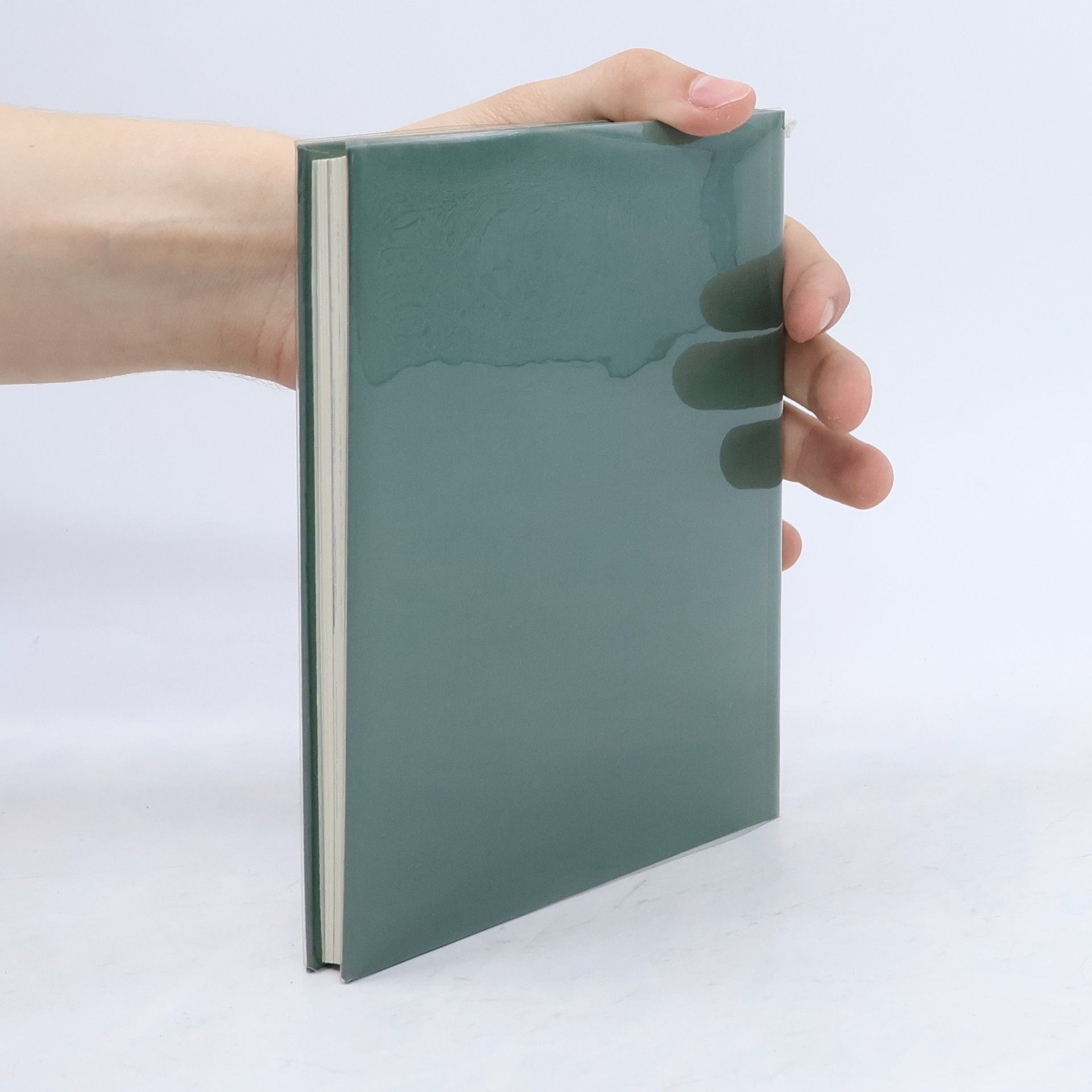 Géza Rech Das Salzburger Mozartbuch