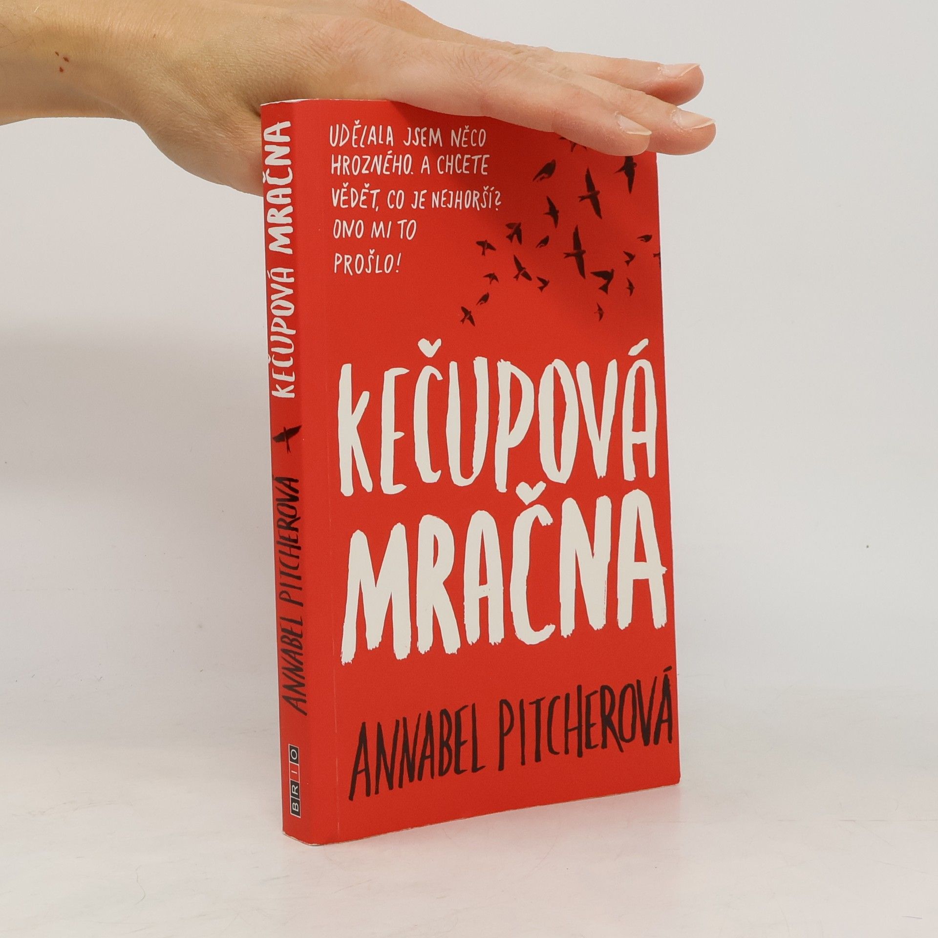 Annabel Pitcher Kečupová mračna