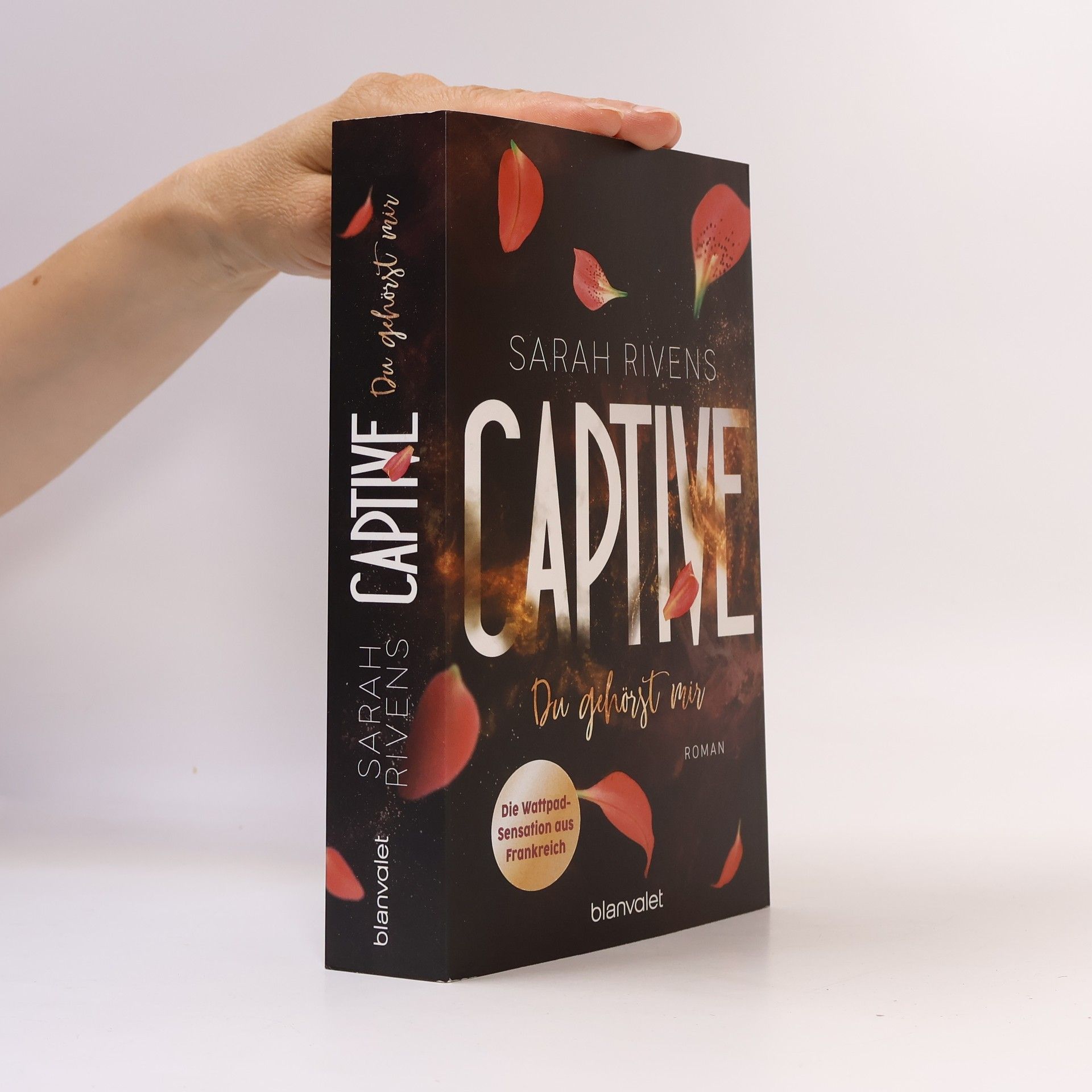 Sarah Rivens Captive - Du gehörst mir