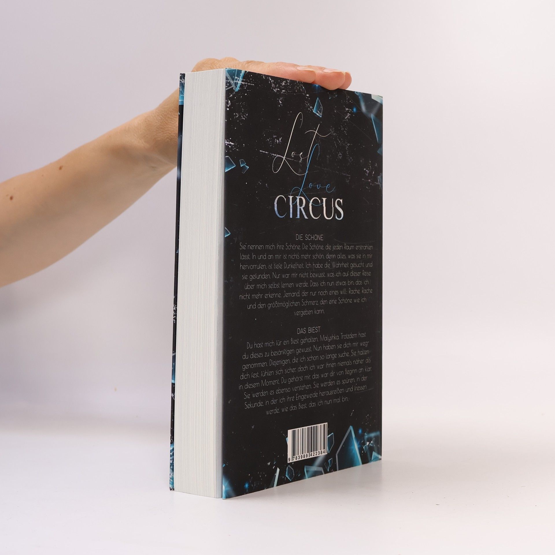 B. B. Stiffers Lost Love Circus