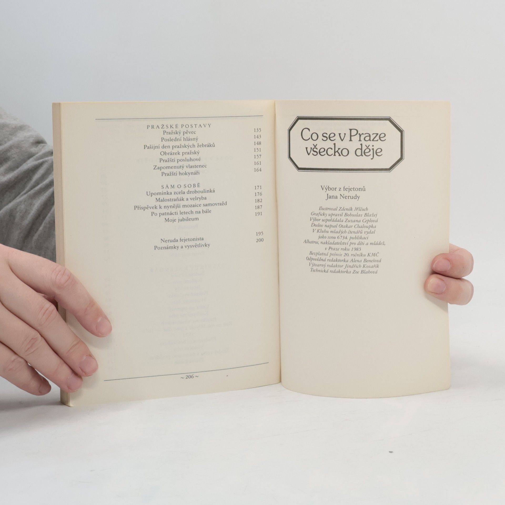 Jan Neruda Co se v Praze všecko děje