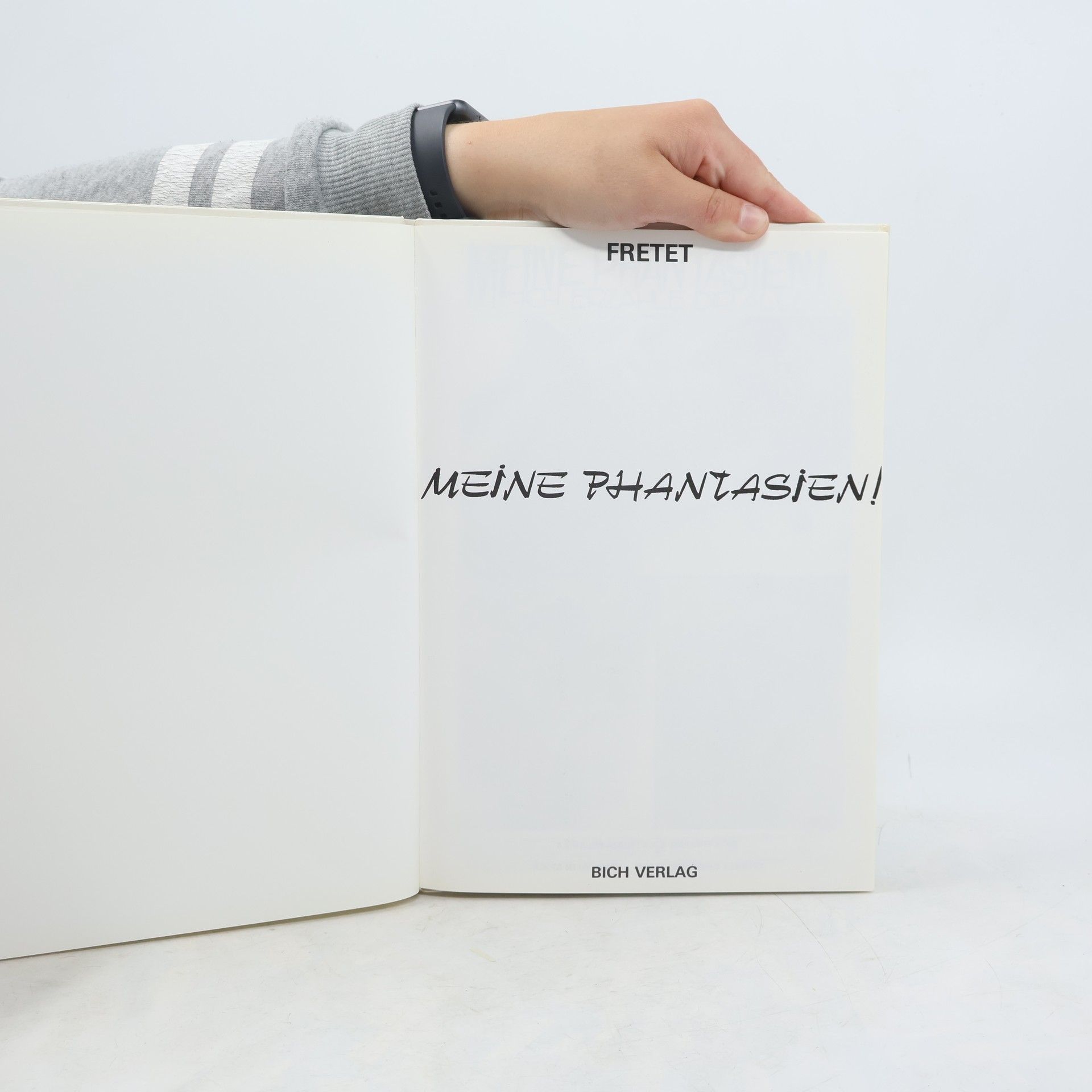Autorenkollektiv Meine Phantasien!