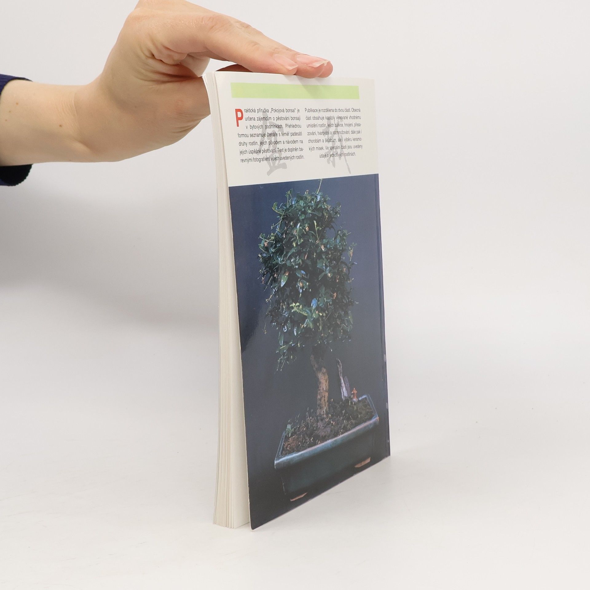 Jindřich Votýpka Pokojová bonsai