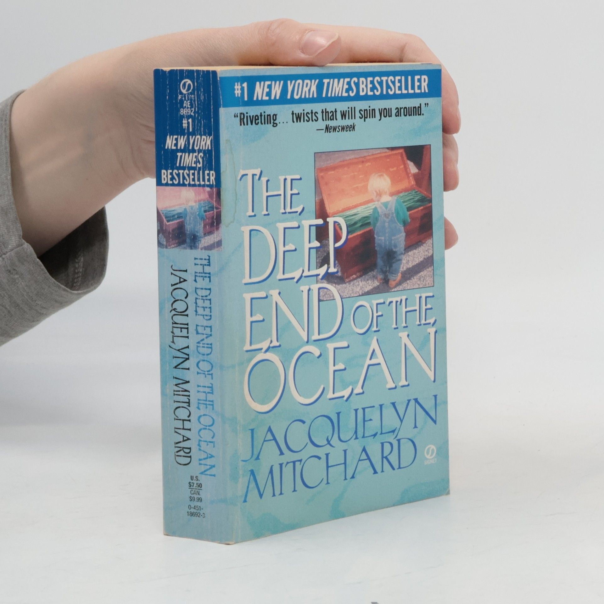 Jacquelyn Mitchard The Deep End of the Ocean