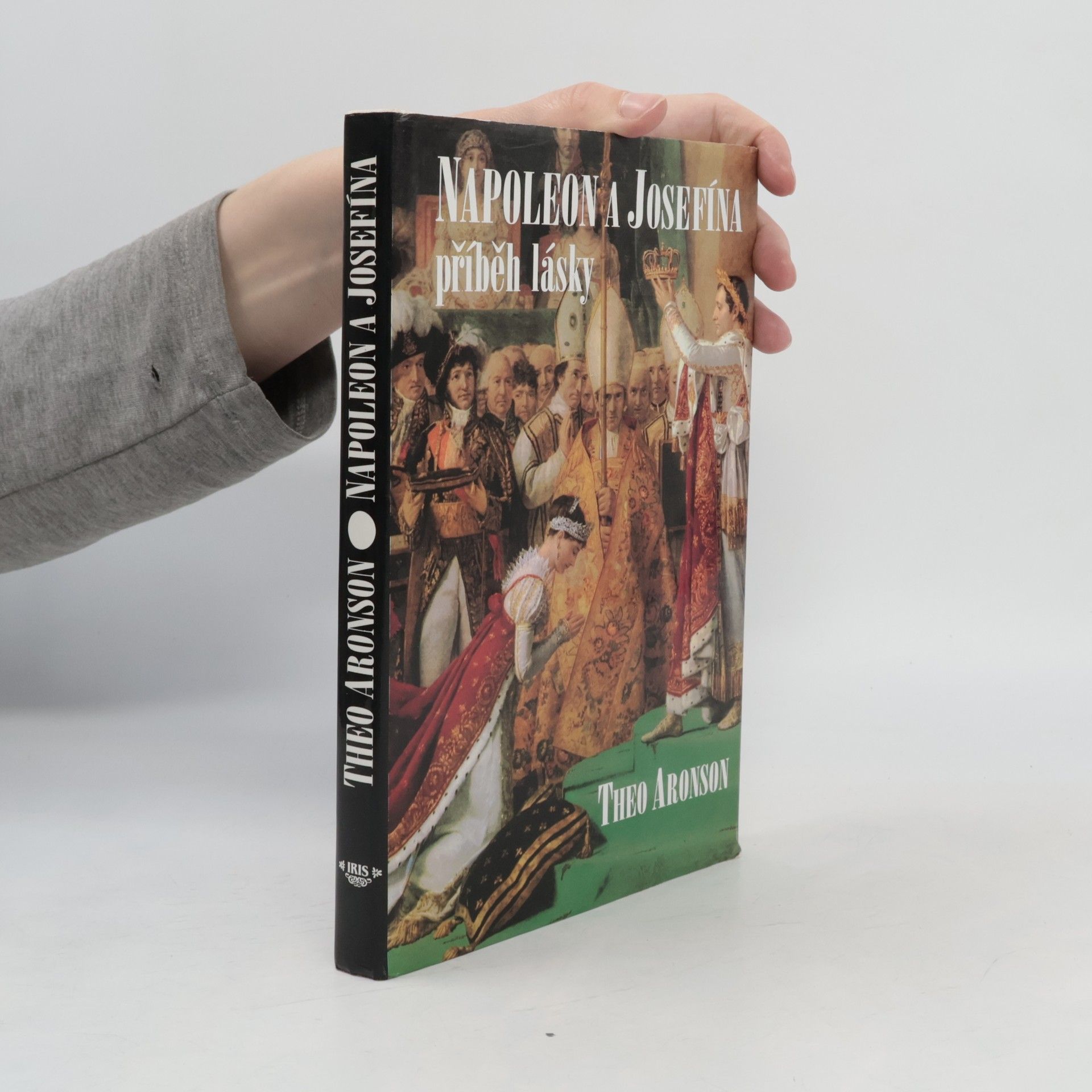 Theo Aronson Napoleon a Josefína. Příběh lásky