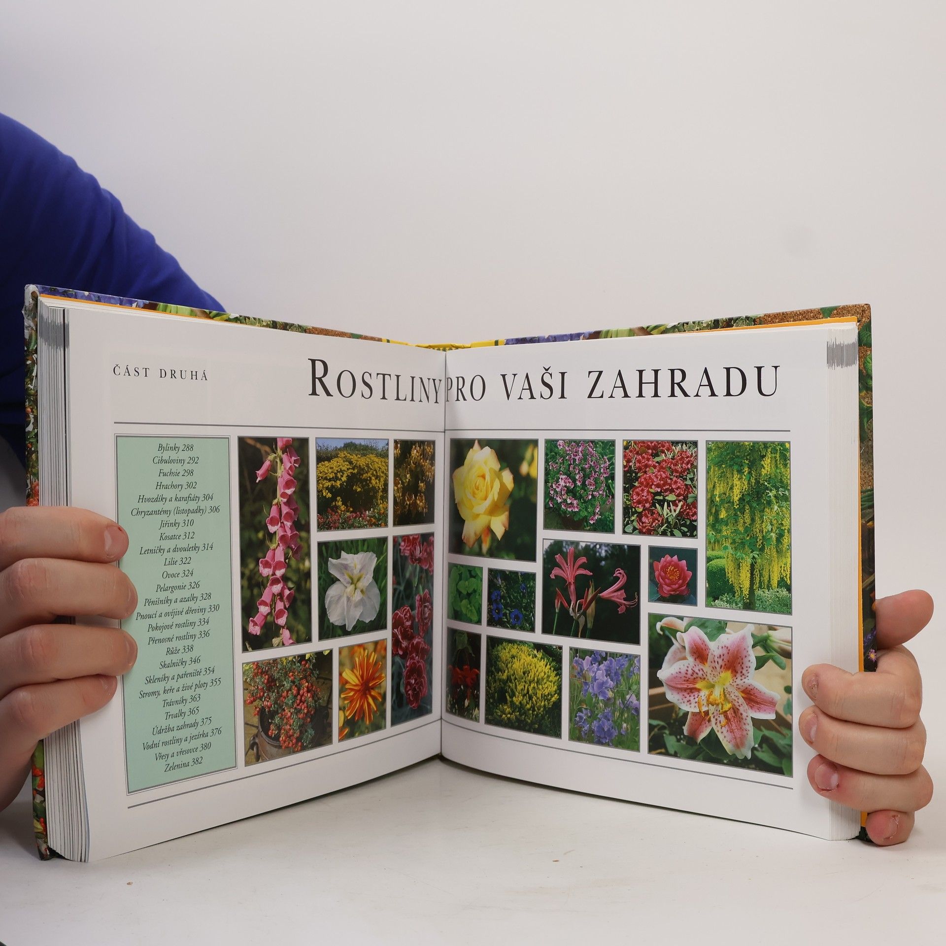 Various authors Rok v zahradě. Jak se těšit ze zahrady od jara do zimy