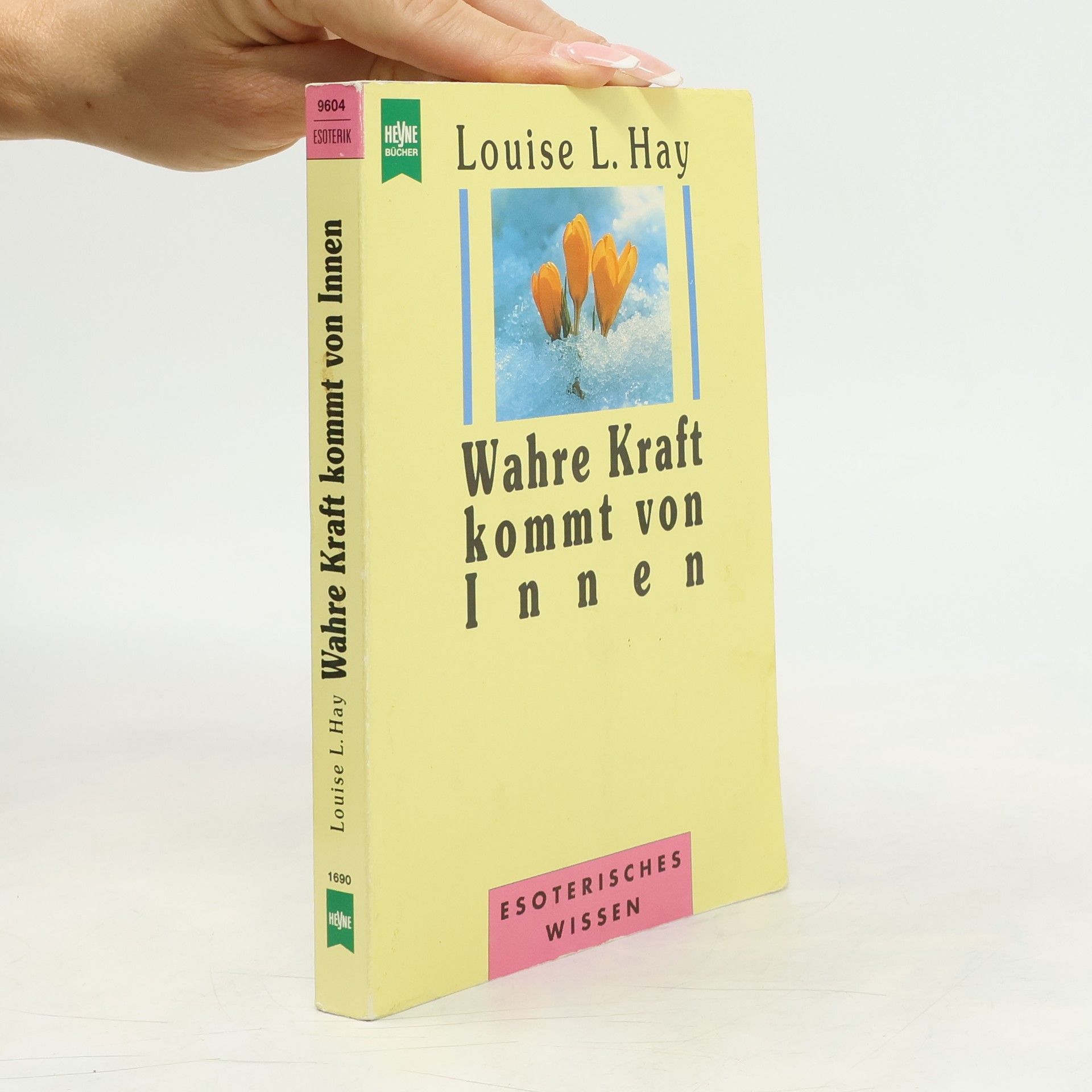 Louise Lynn Hay Wahre Kraft kommt von Innen
