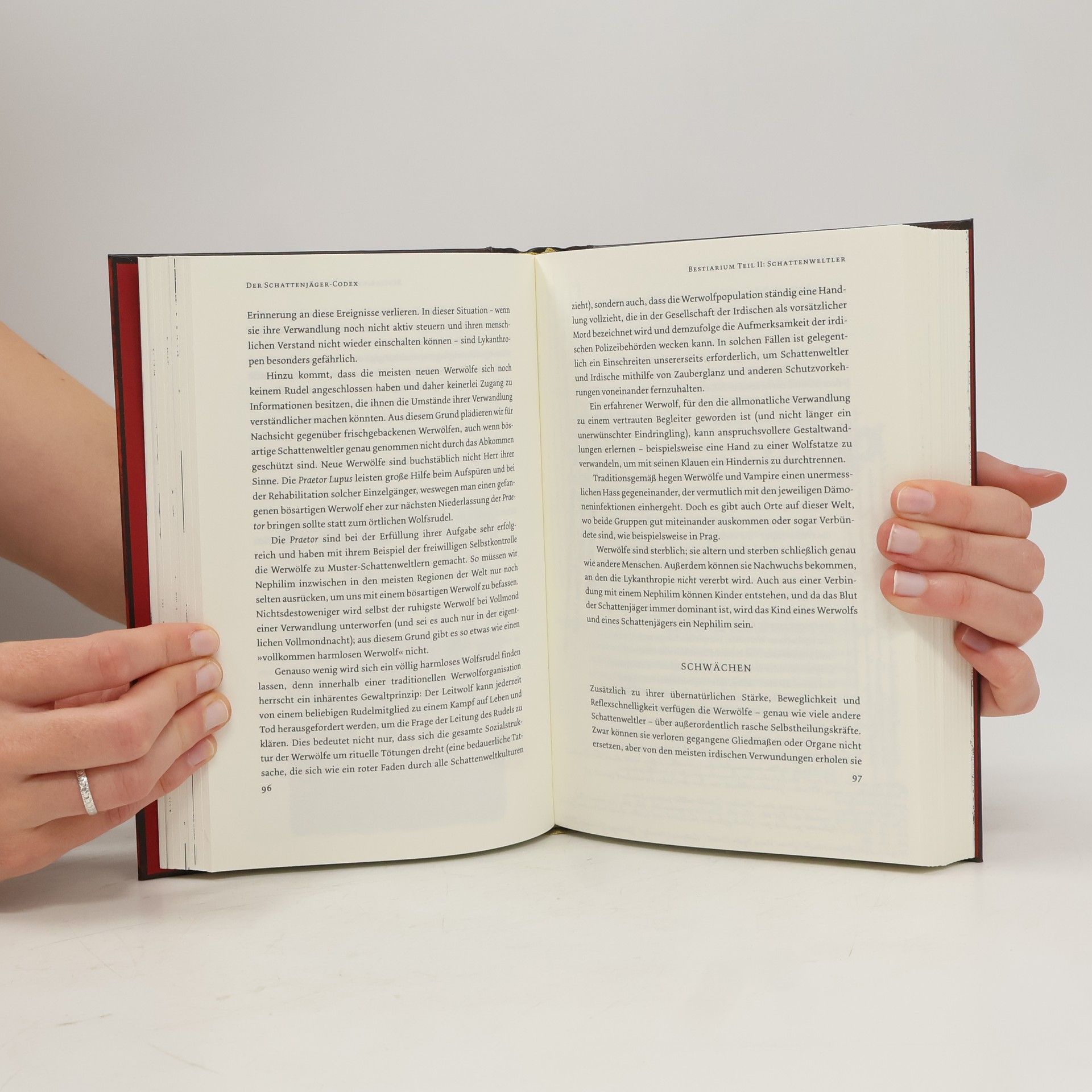 Cassandra Clare Der Schattenjäger-Codex