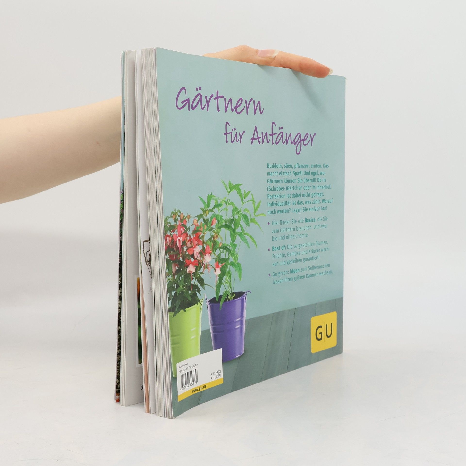 Mascha Schacht Garten-Basics