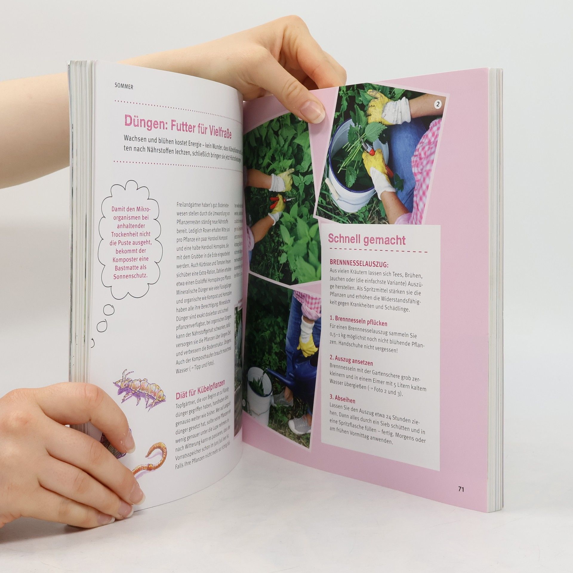 Mascha Schacht Garten-Basics