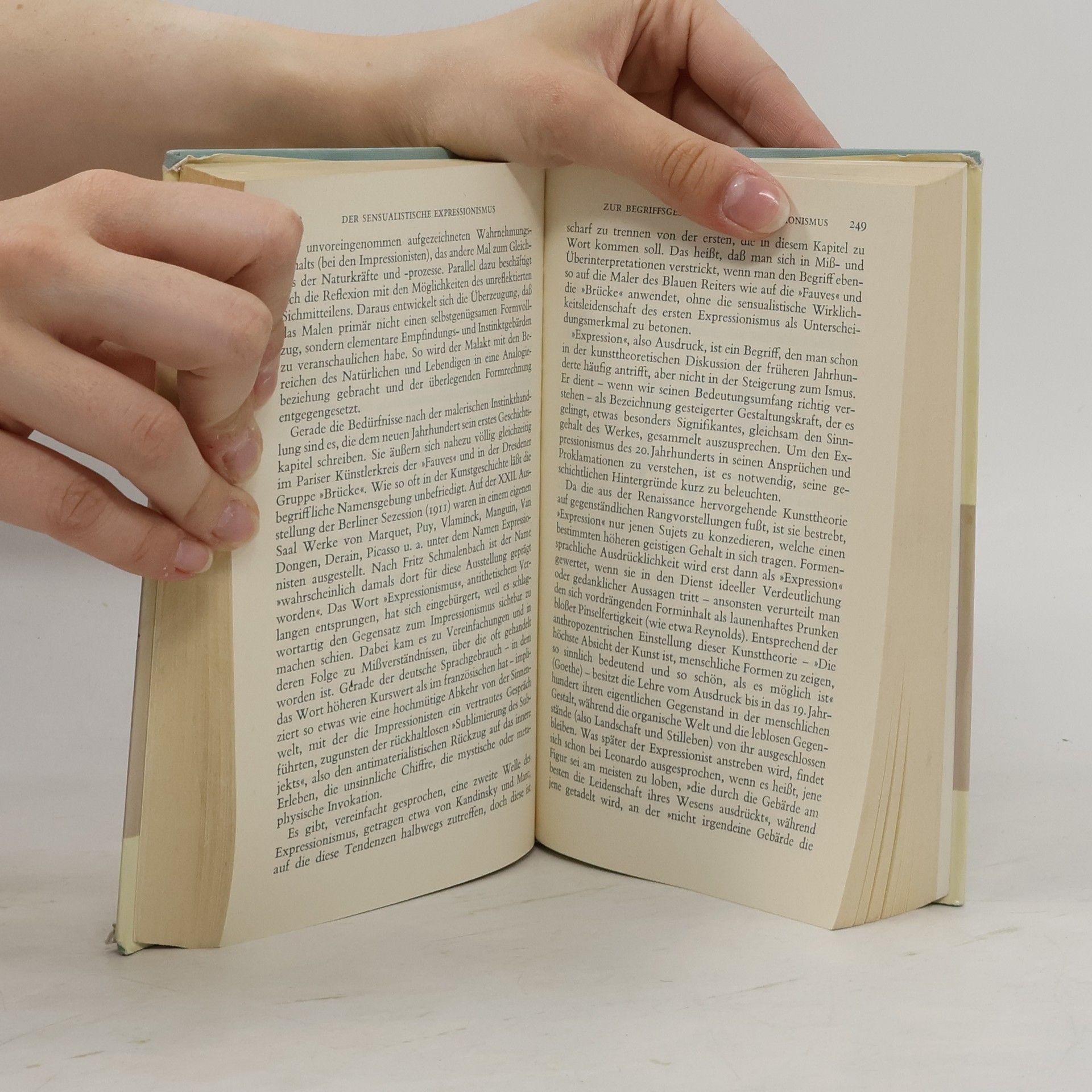 Nikolaus Pevsner Grundlagen der modernen Kunst