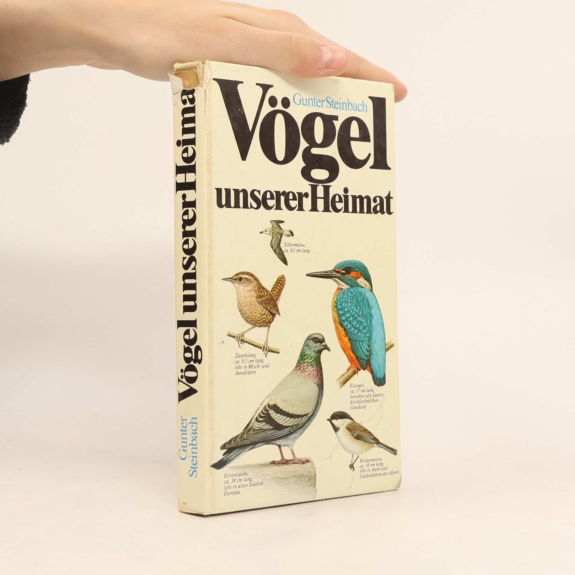 Gunter Steinbach Vögel unserer Heimat