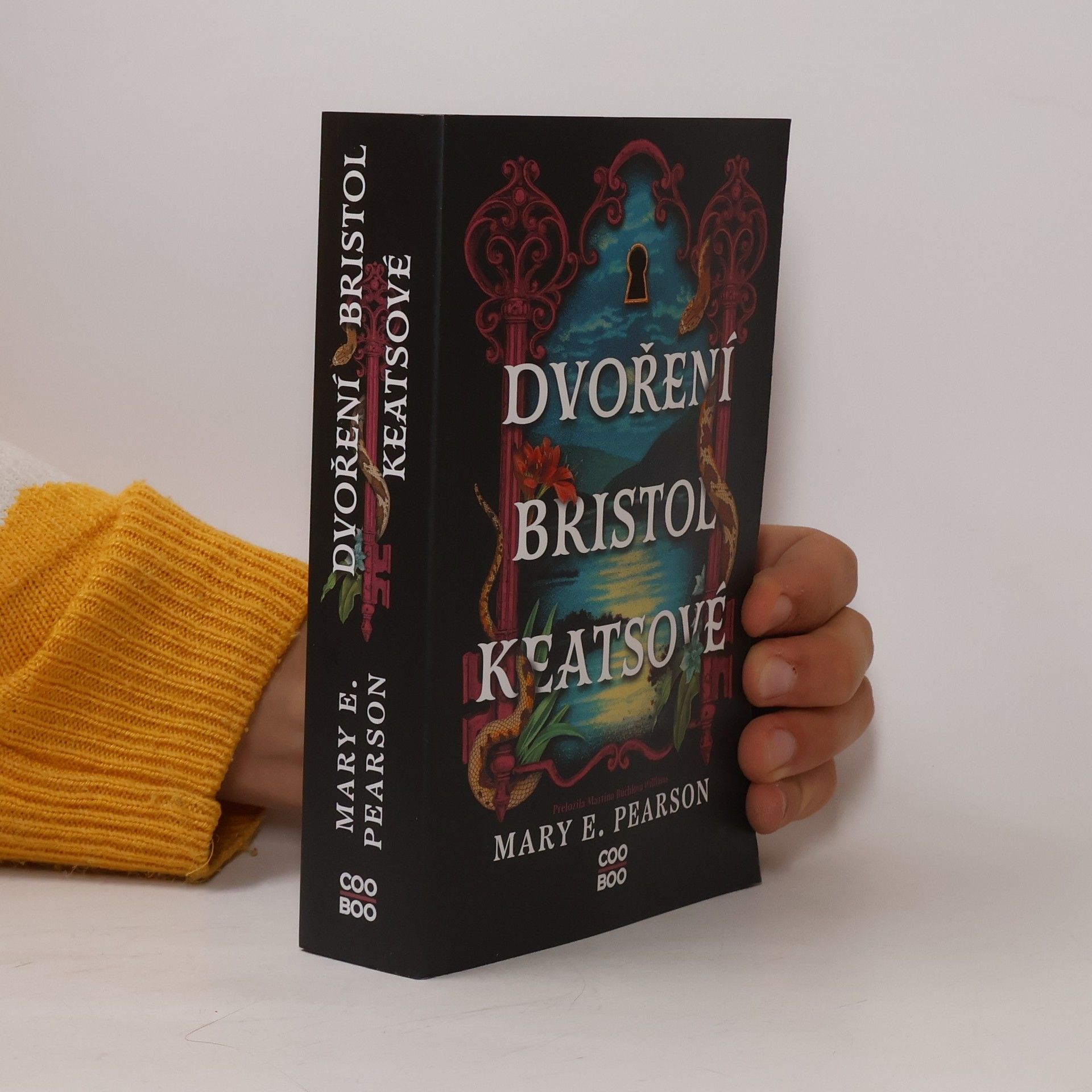 Mary E. Pearson Dvoření Bristol Keatsové