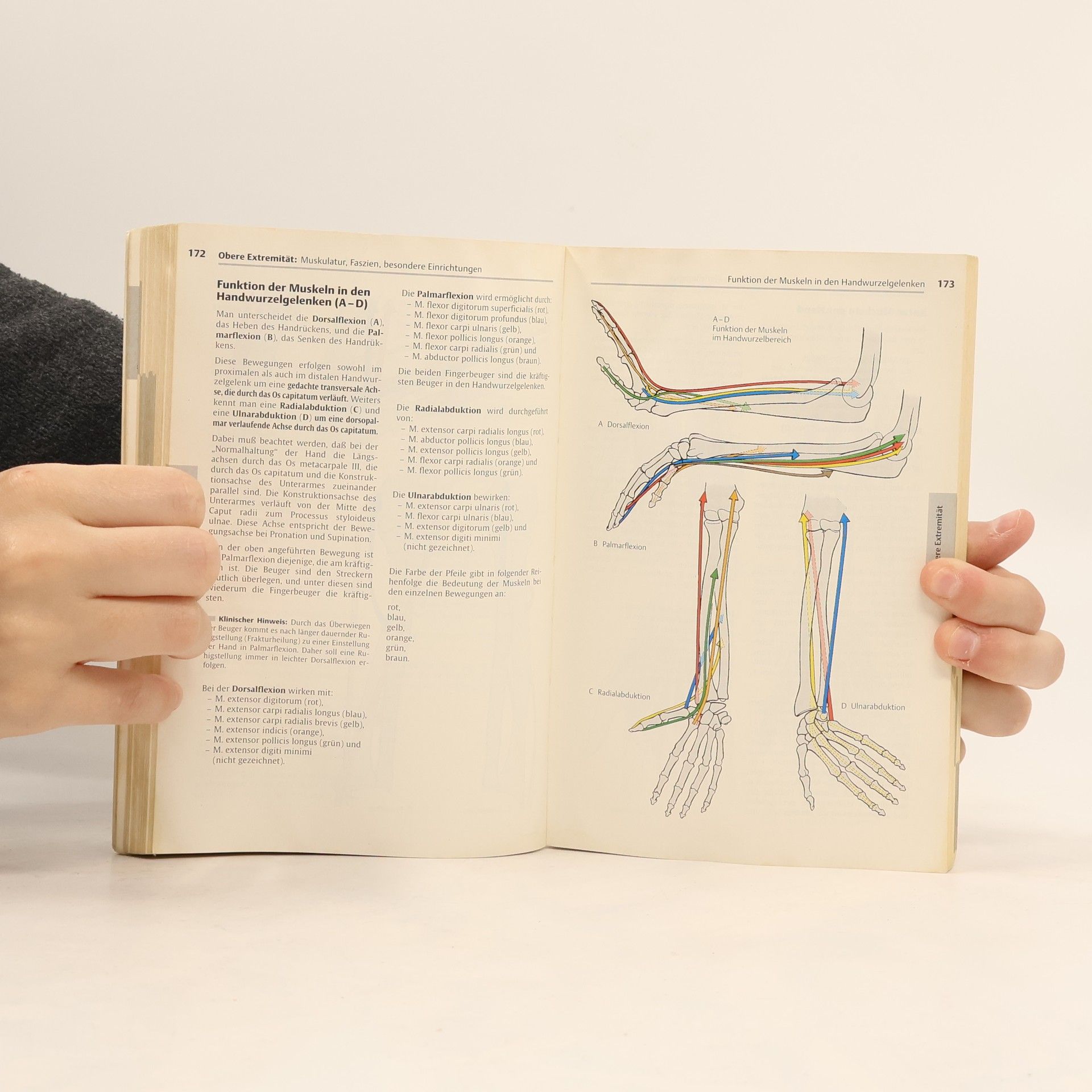 Werner Platzer Taschenatlas der Anatomie