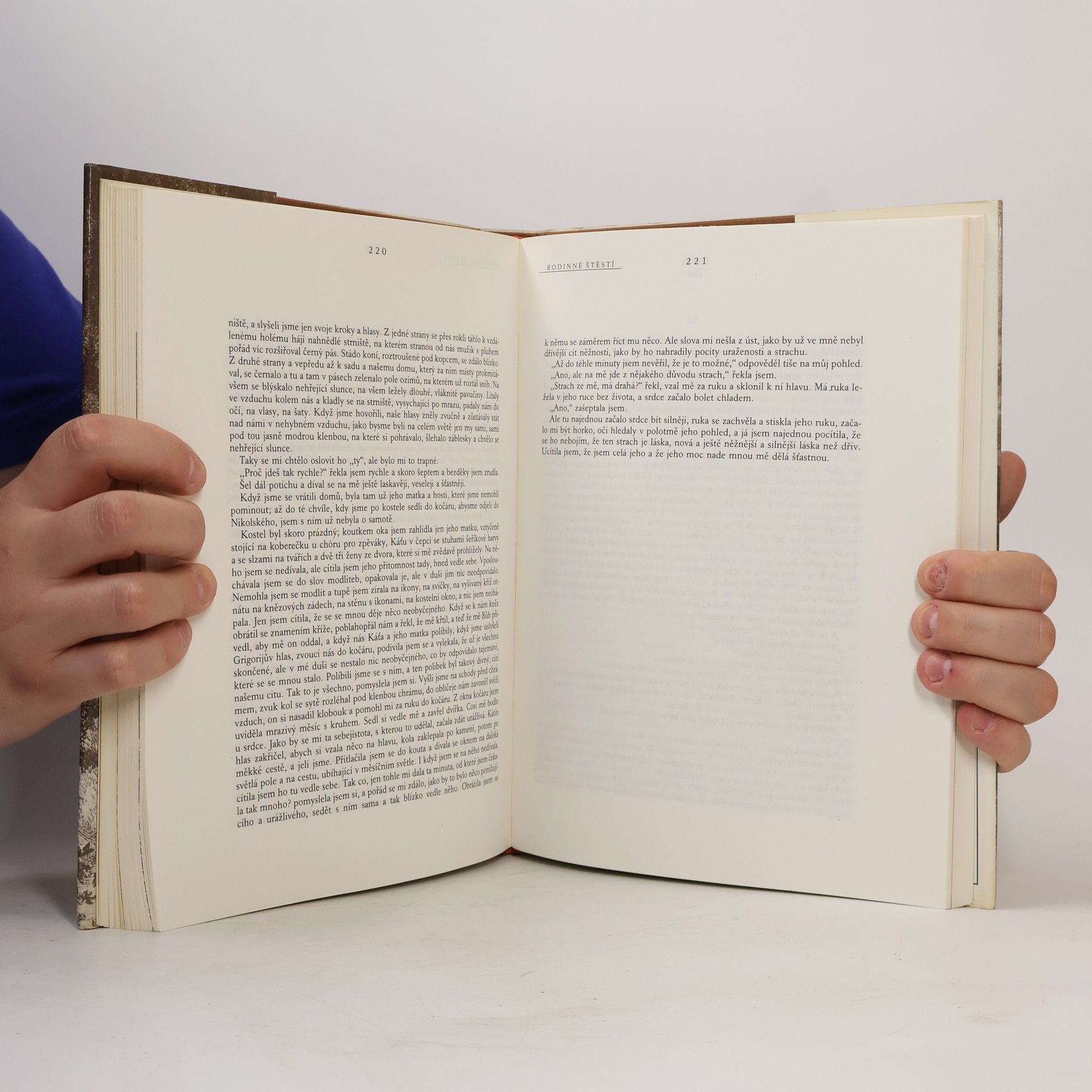Lew Nikolajewitsch Tolstoi Malé romány