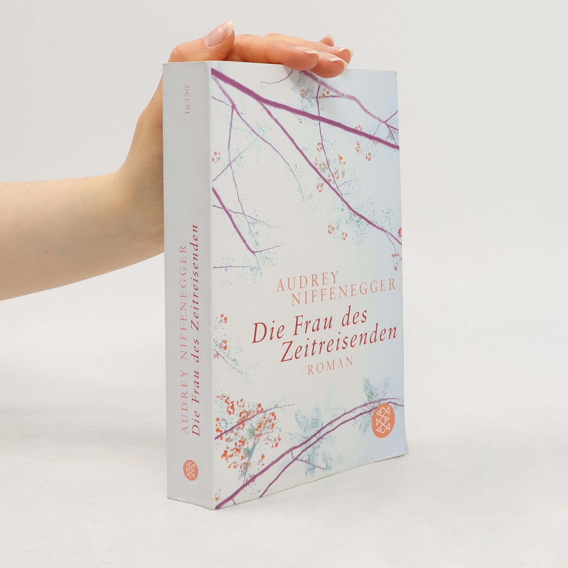 Audrey Niffenegger Die Frau des Zeitreisenden