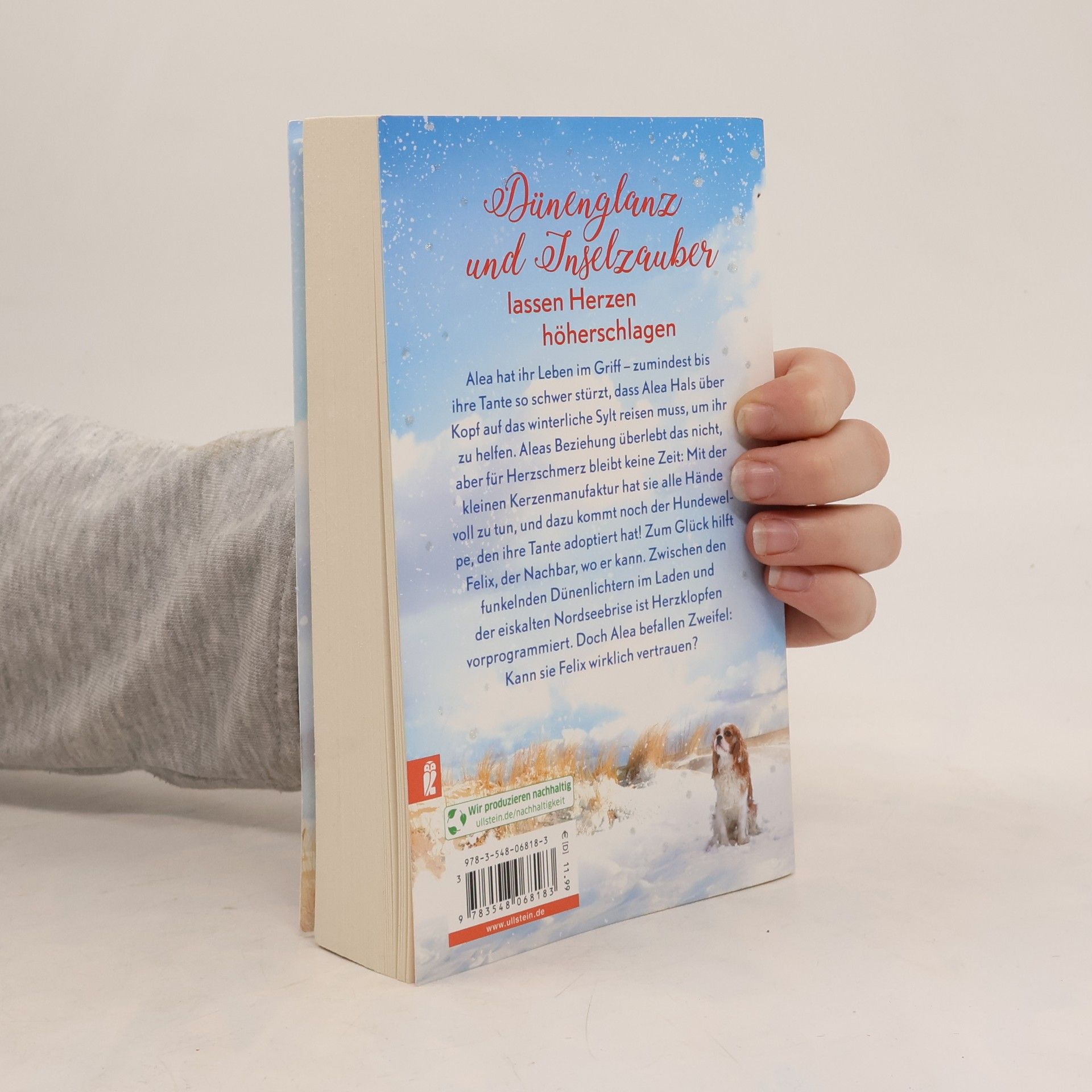 Julia Rogasch Winterträume in der kleinen Manufaktur am Meer
