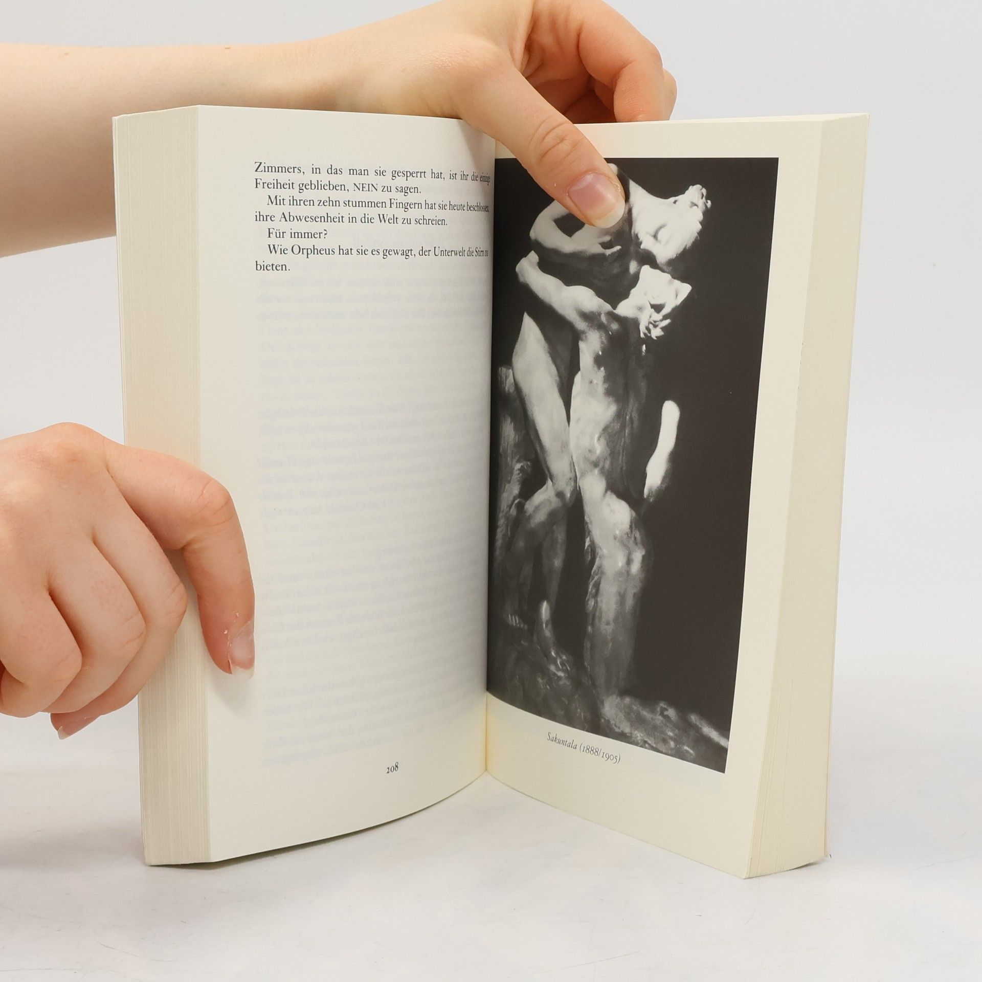 Anne Delbee Der Kuss. Kunst und Leben der Camille Claudel