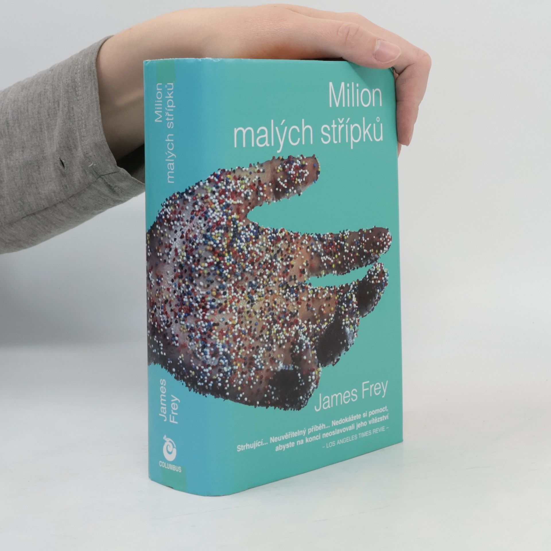 James Frey Milion malých střípků