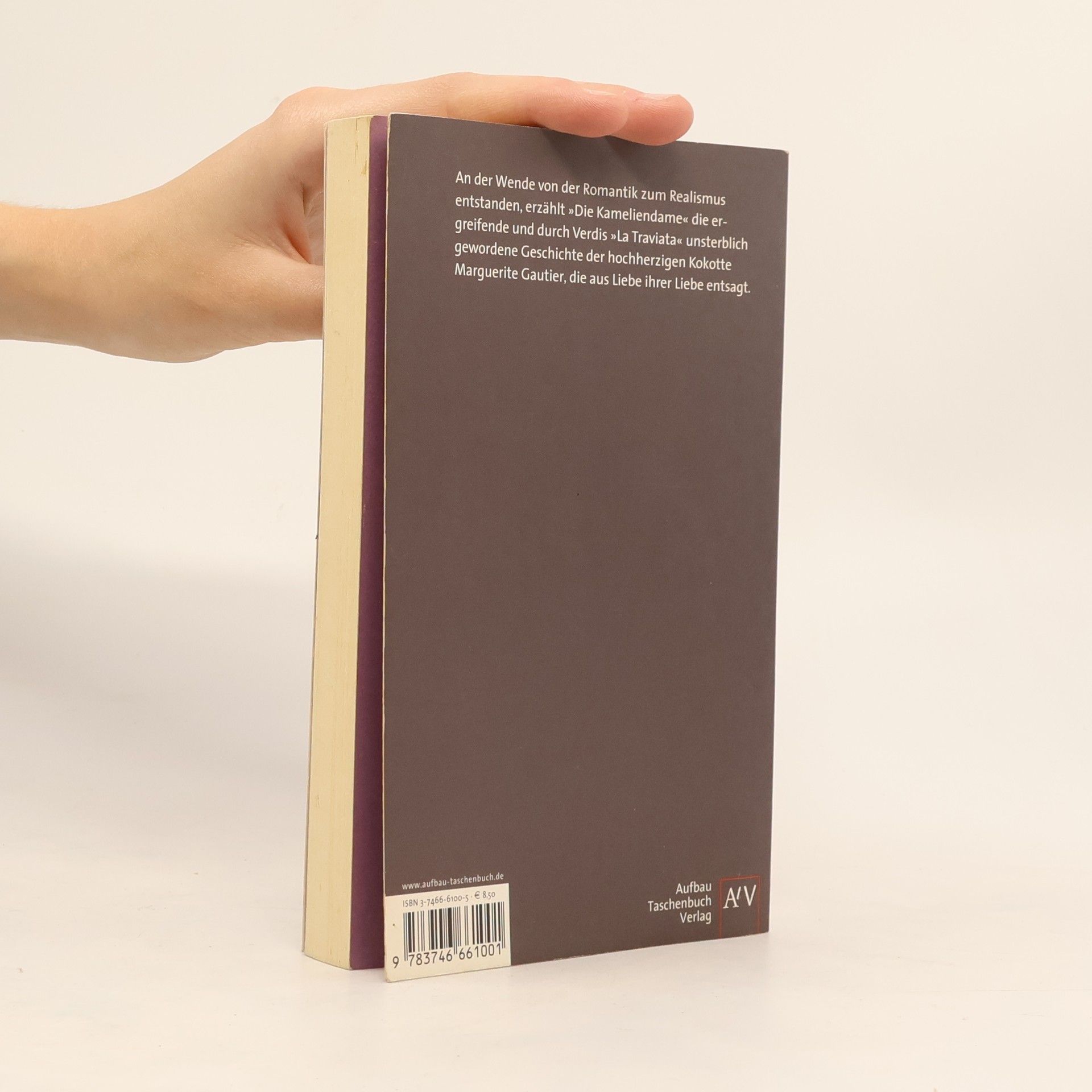 Alexandre Dumas der Jüngere Aufbau Taschenbücher: Die Kameliendame