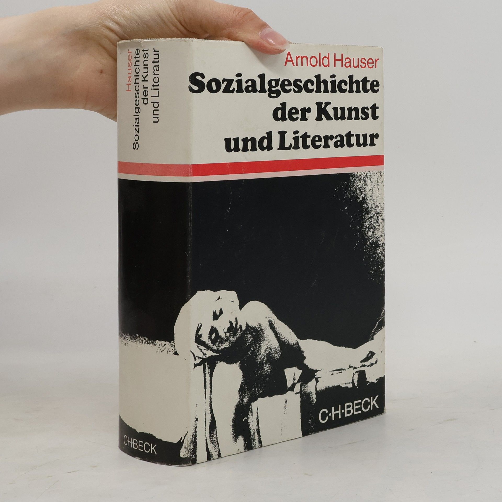 Sozialgeschichte der Kunst und Literatur