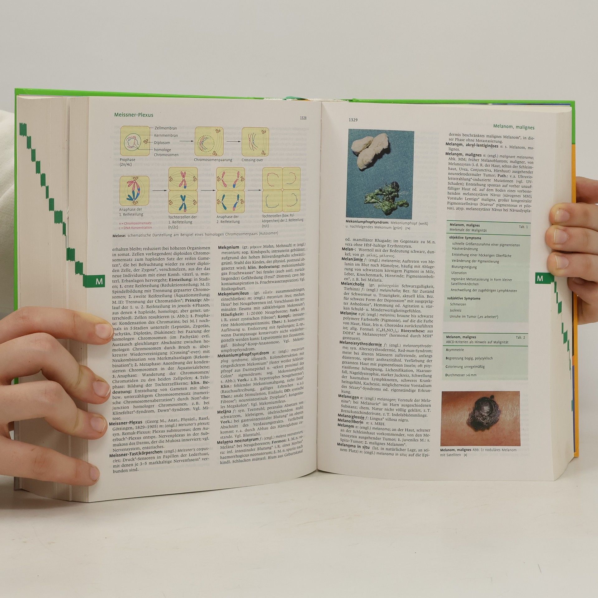 Willibald Pschyrembel Pschyrembel Klinisches Wörterbuch
