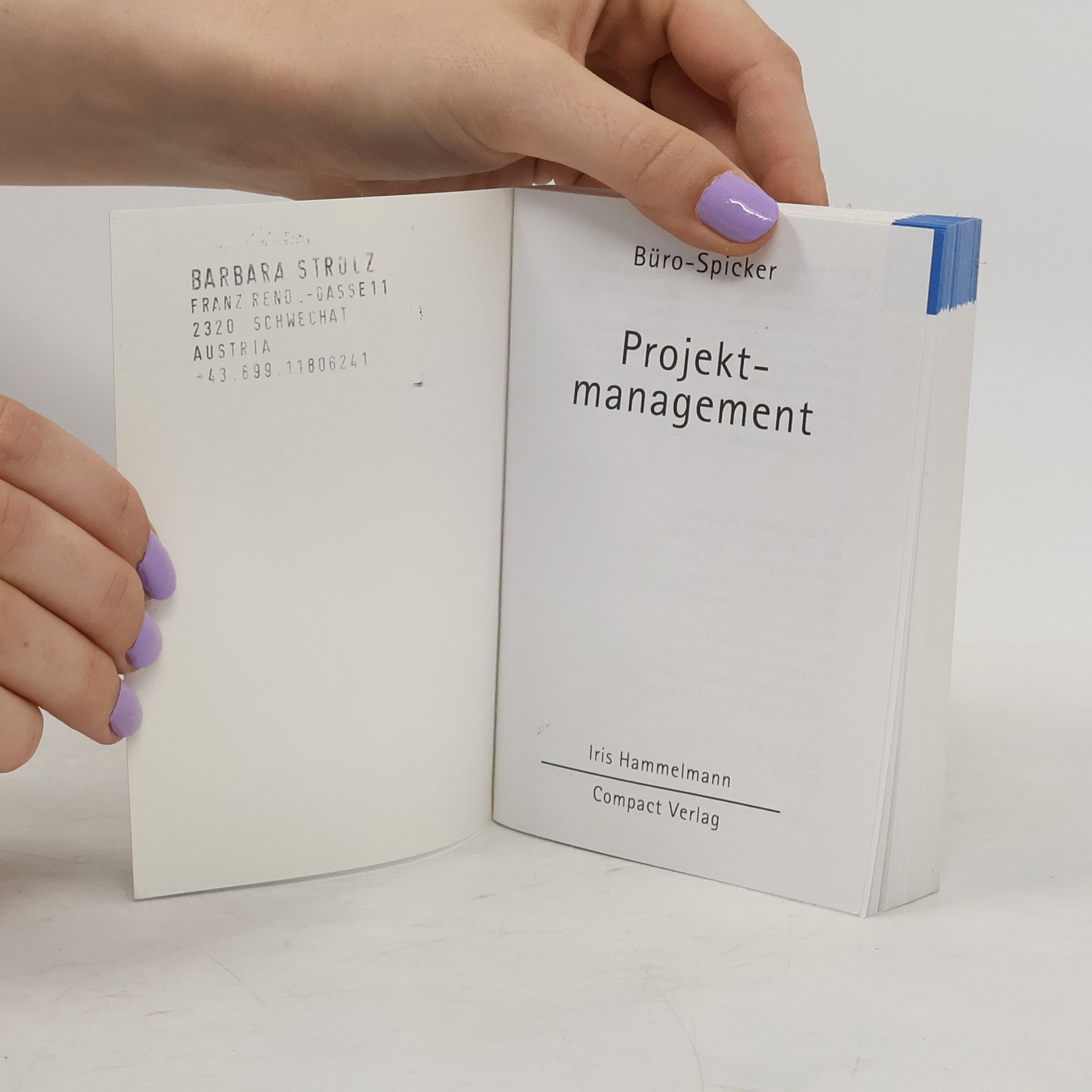 Iris Hammelmann Büro-Spicker: Projektmanagement