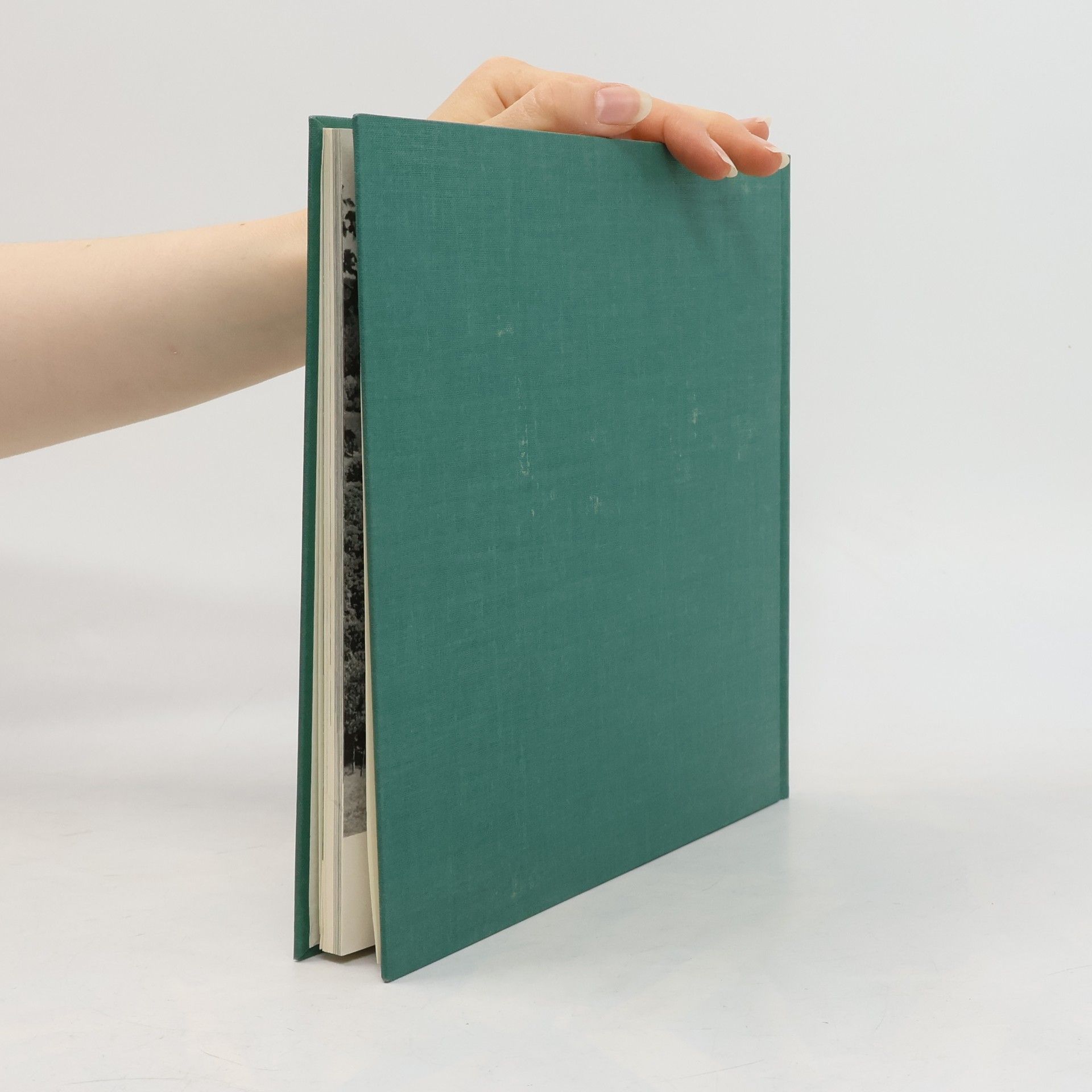 Autorenkollektiv Arolsen, die Residenz im Grünen