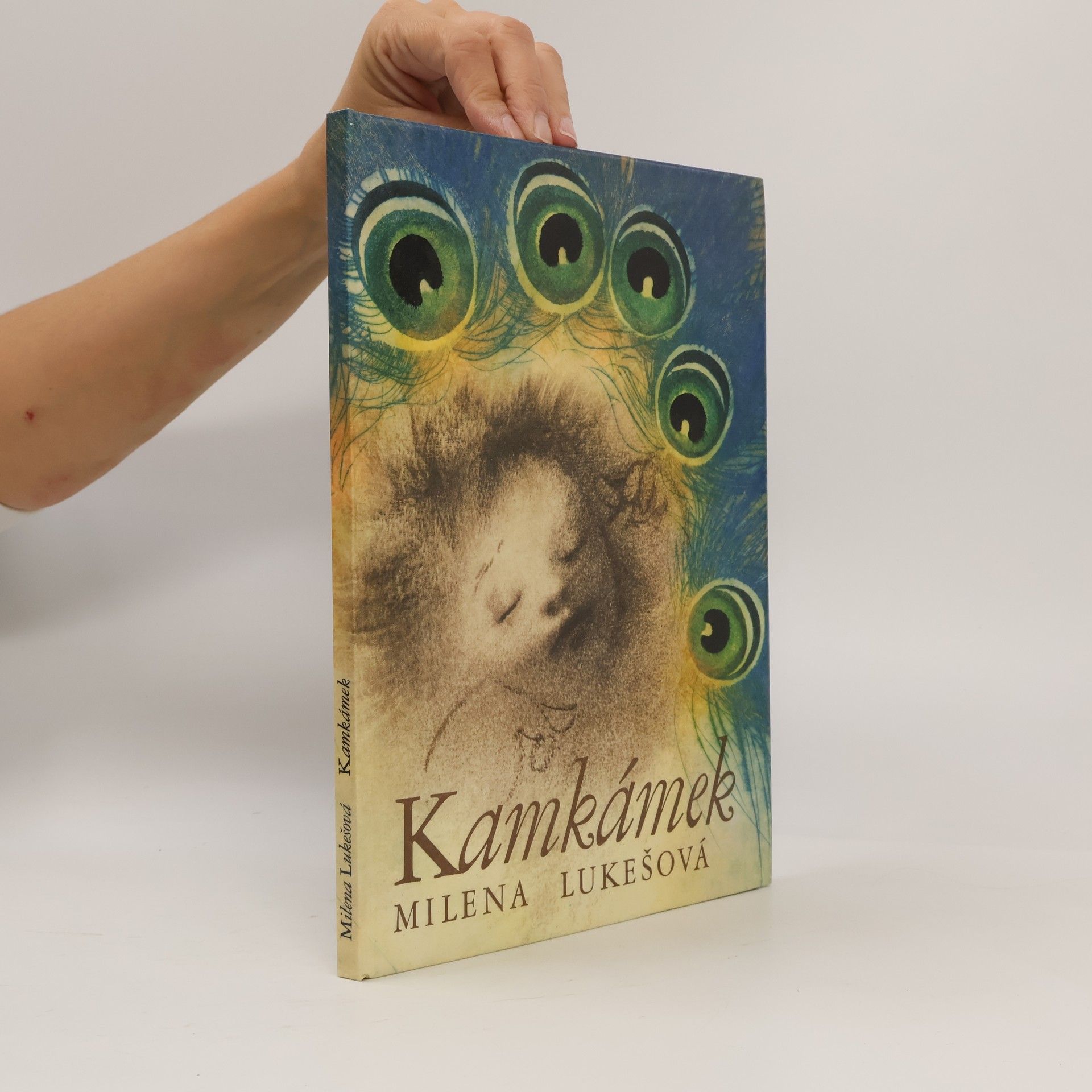 Milena Lukešová Kamkámek