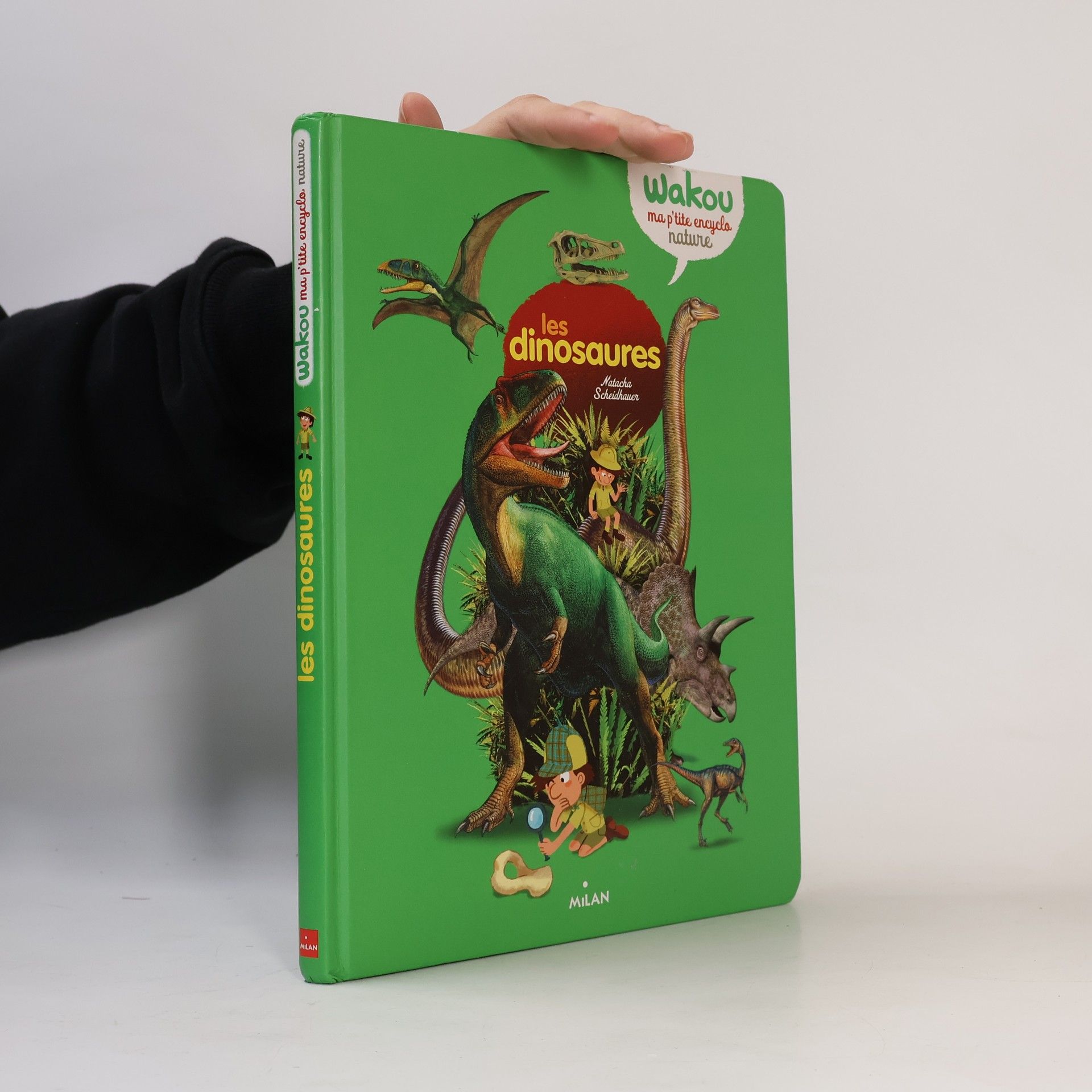 Natacha Scheidhauer Les dinosaures