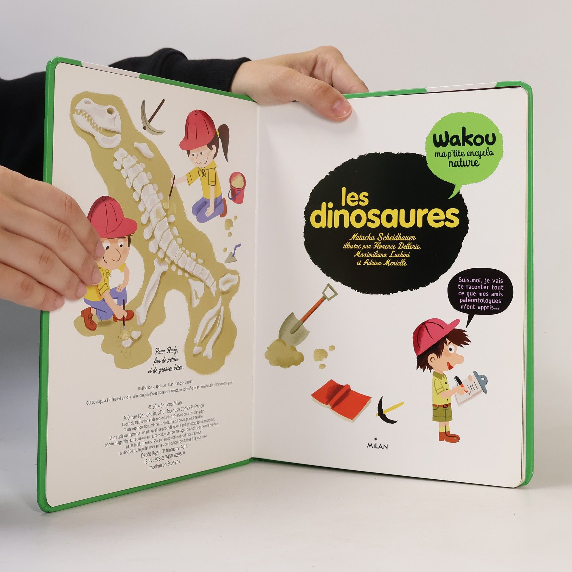 Natacha Scheidhauer Les dinosaures