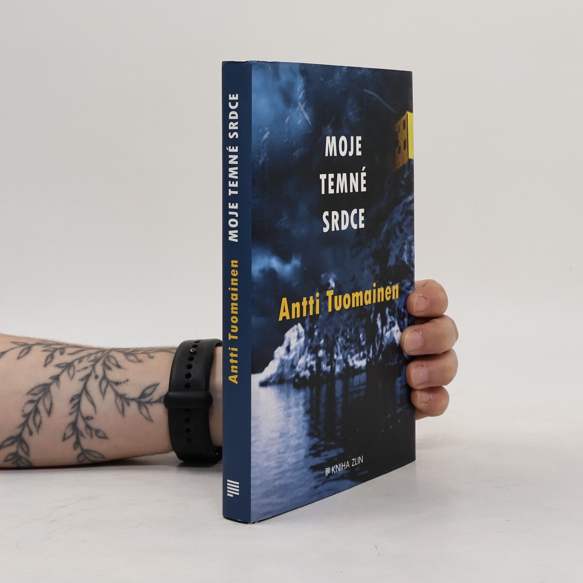 Antti Tuomainen Moje temné srdce