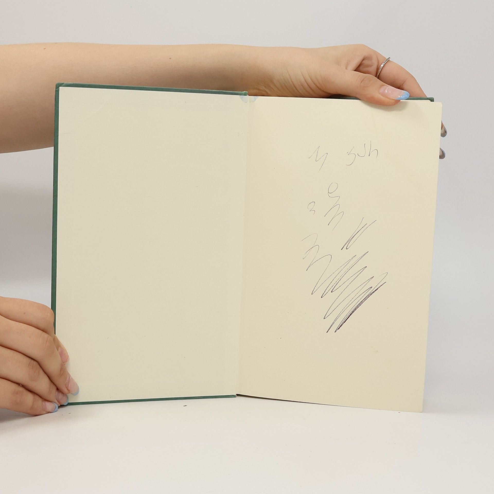 Frank McCourt Die Asche meiner Mutter