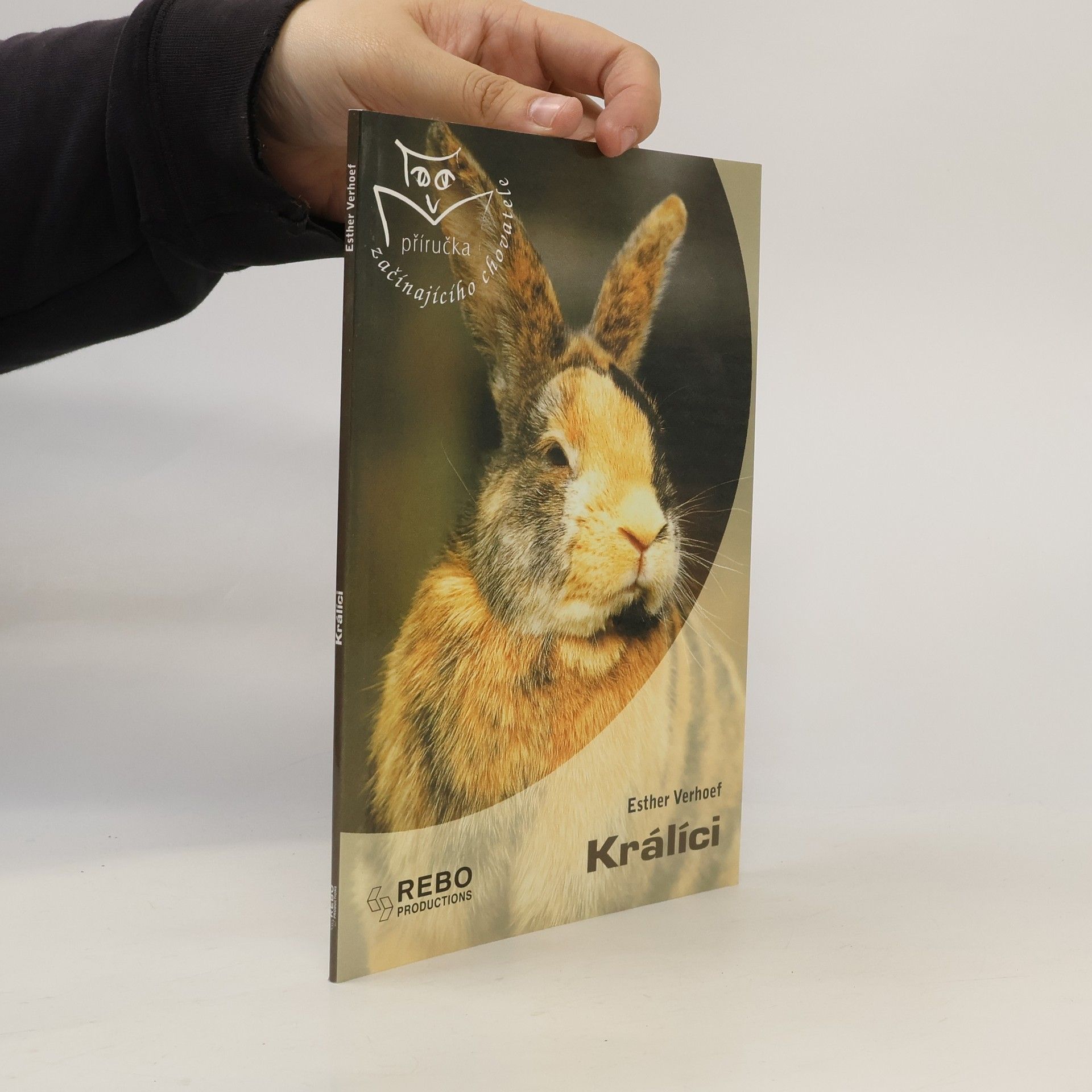Králíci