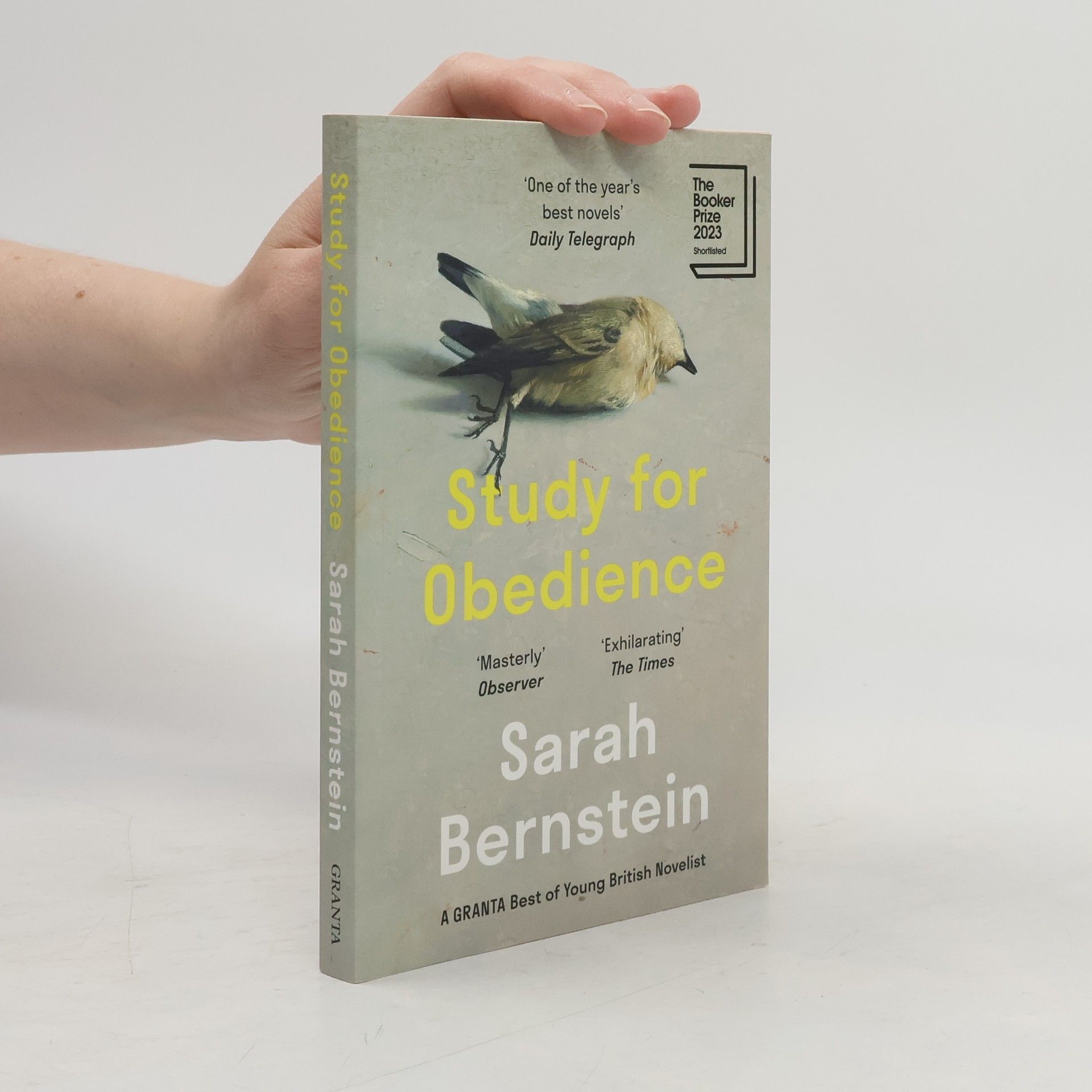 Sarah Bernstein Study for Obedience