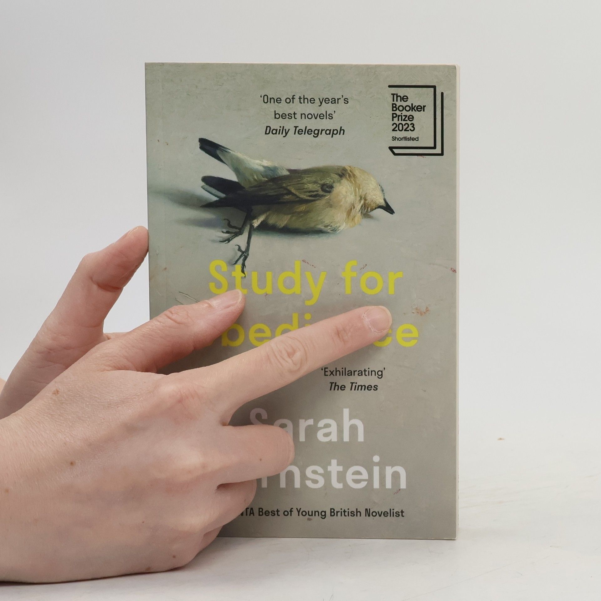 Sarah Bernstein Study for Obedience
