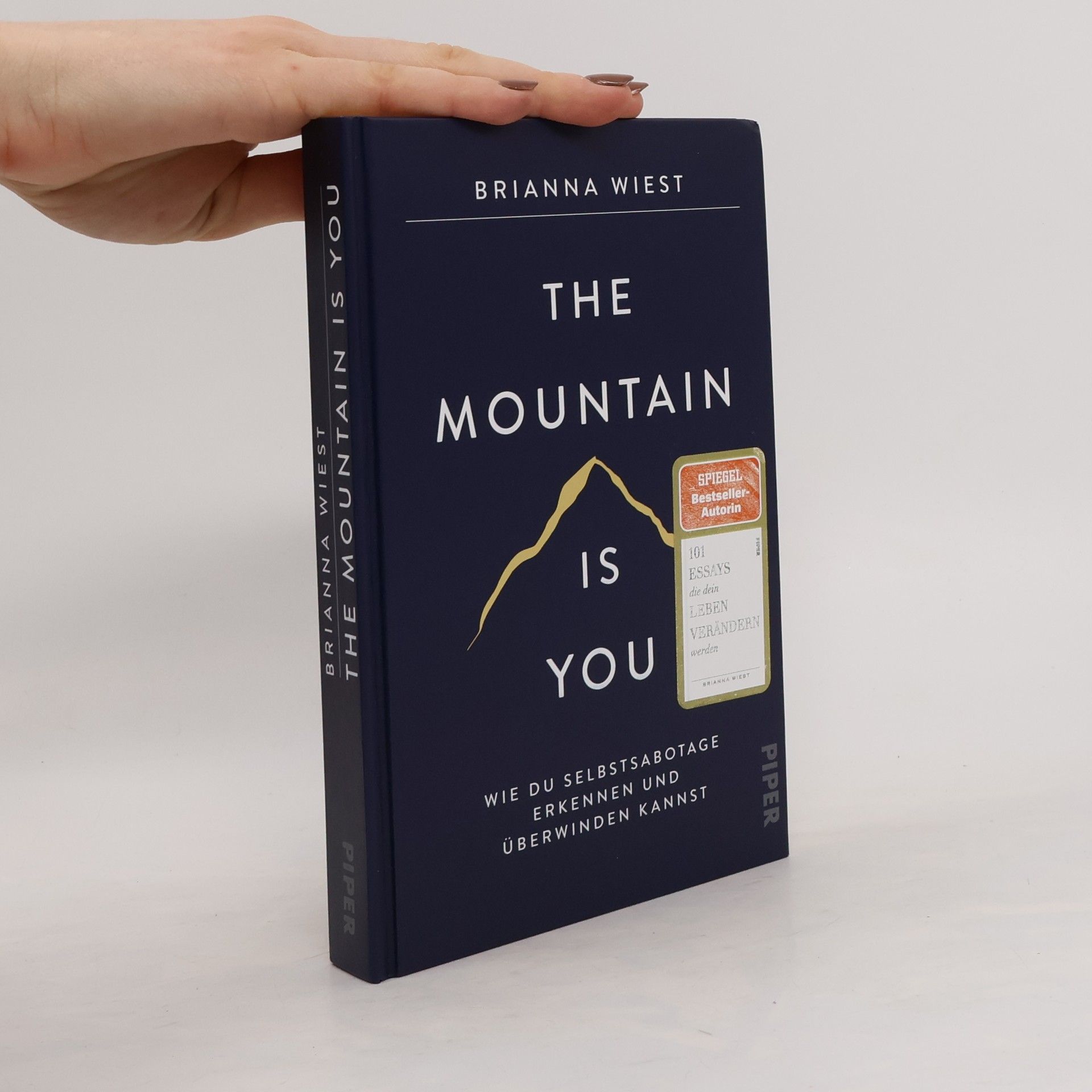 Brianna Wiest The Mountain Is You